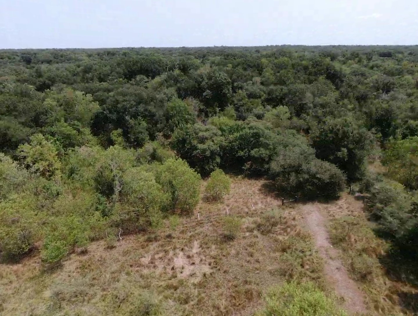 0 Brazos River Road Property Photo 2