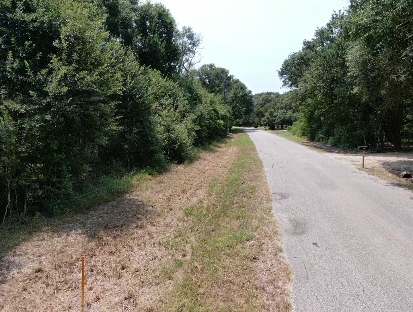 7800 B Brazos River Road Property Photo 3