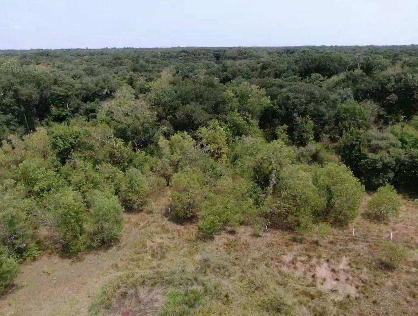 7800 B Brazos River Road Property Photo 7