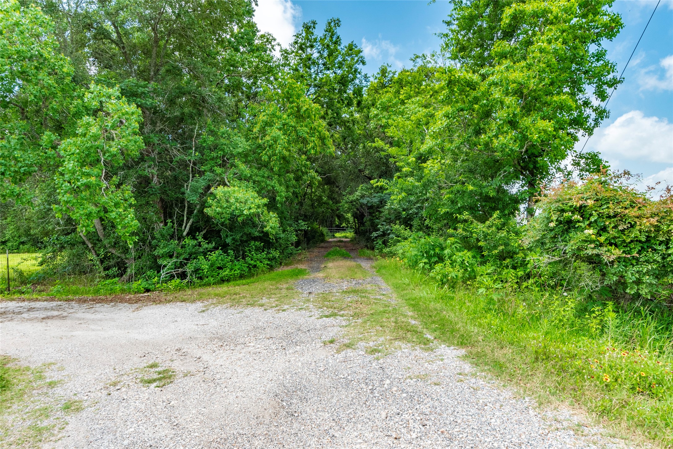 23 Custer Property Photo 4