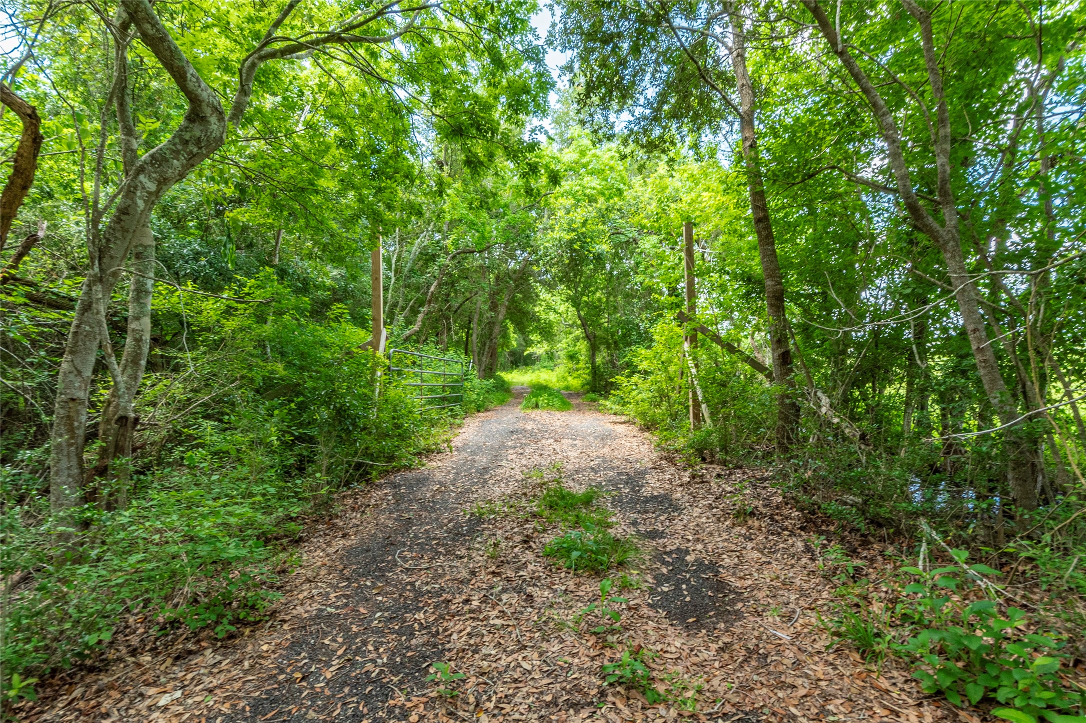 23 Custer Property Photo 5