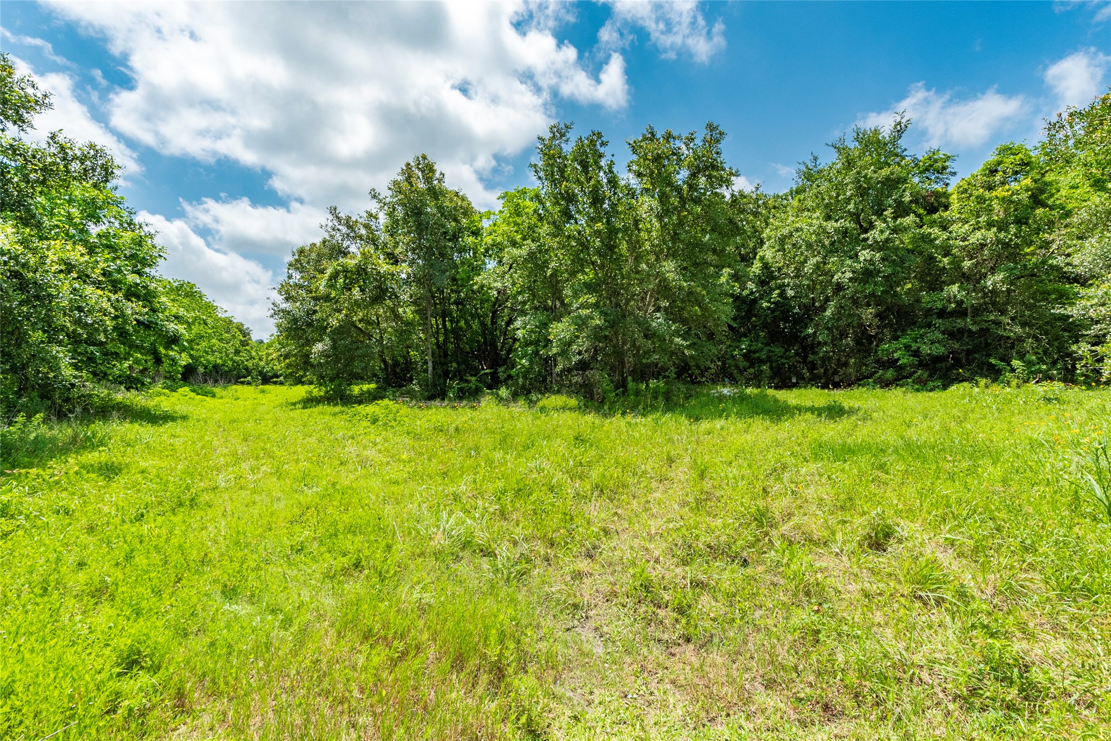 23 Custer Property Photo 6