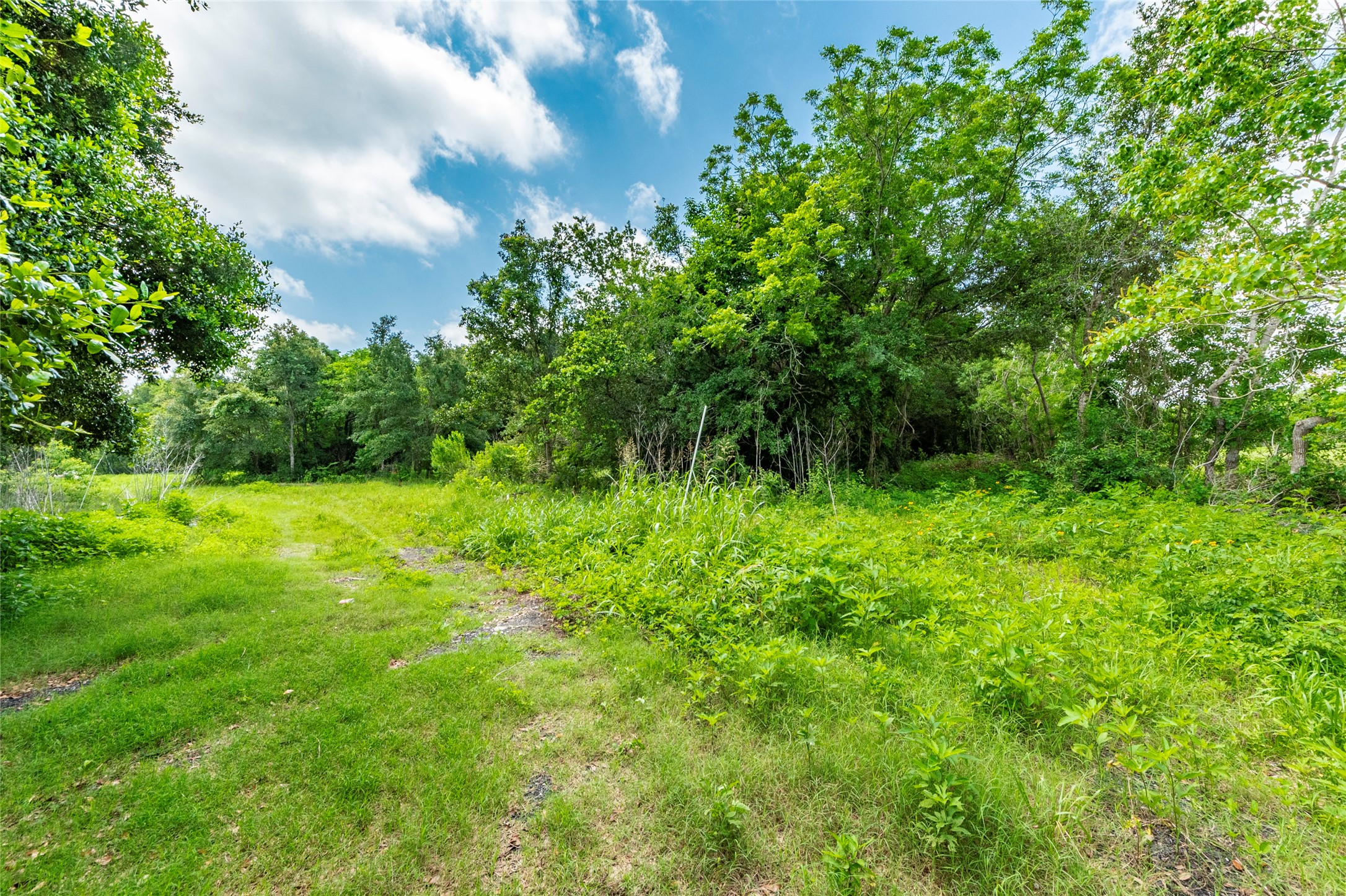 23 Custer Property Photo 8