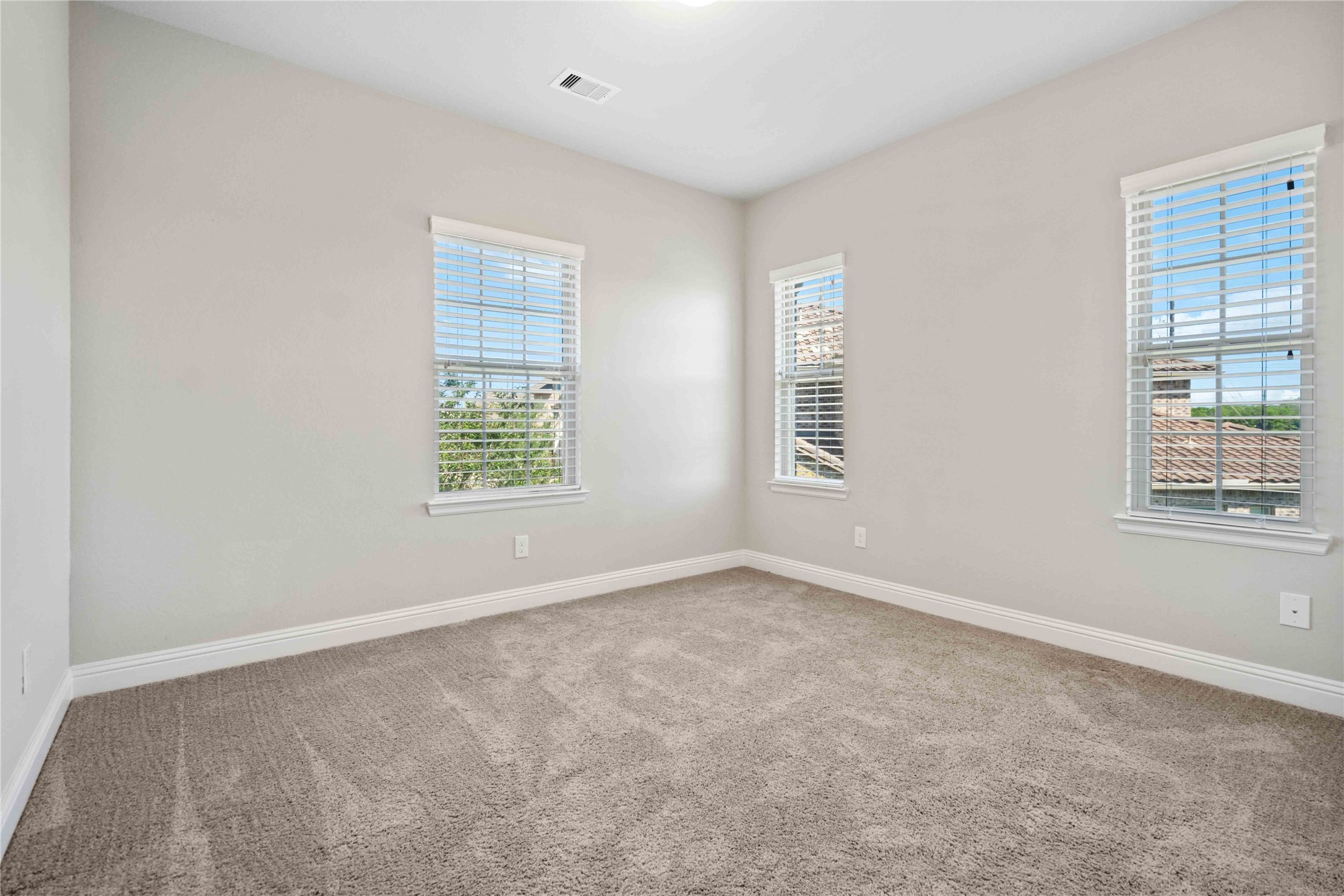 2710 Big Vine Court Property Photo 21