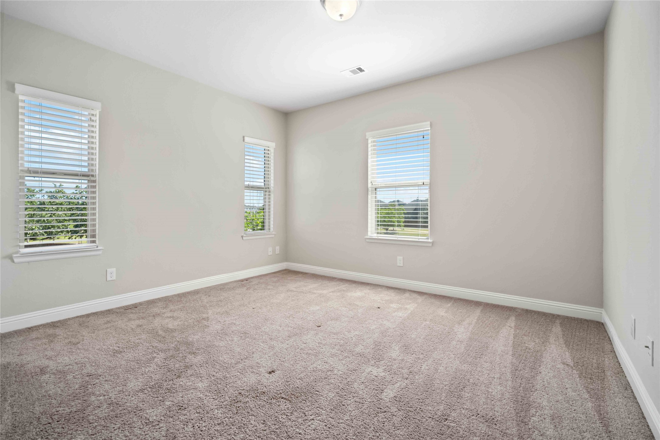 2710 Big Vine Court Property Photo 23