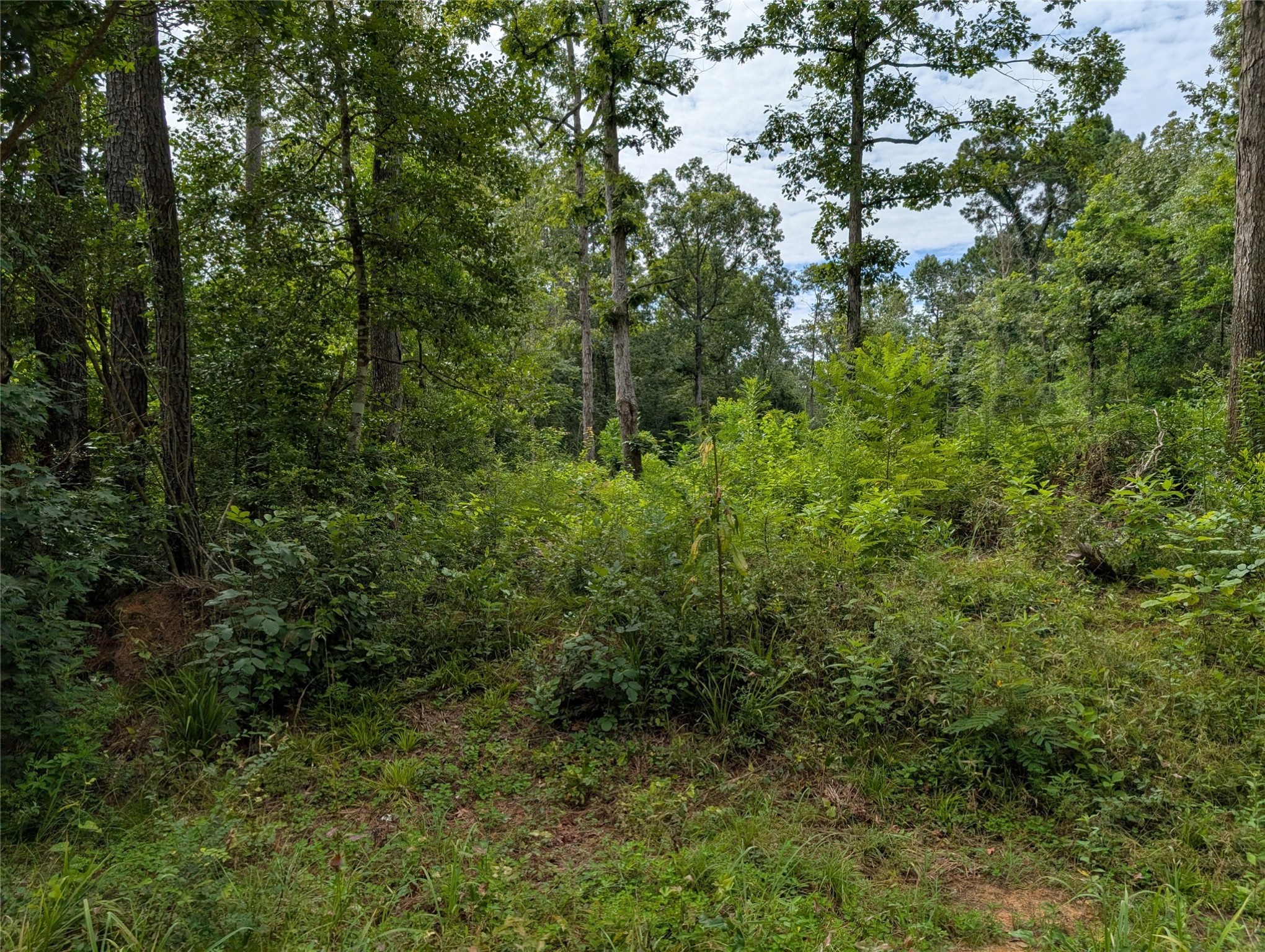 161 Ludies Drive Property Photo 1