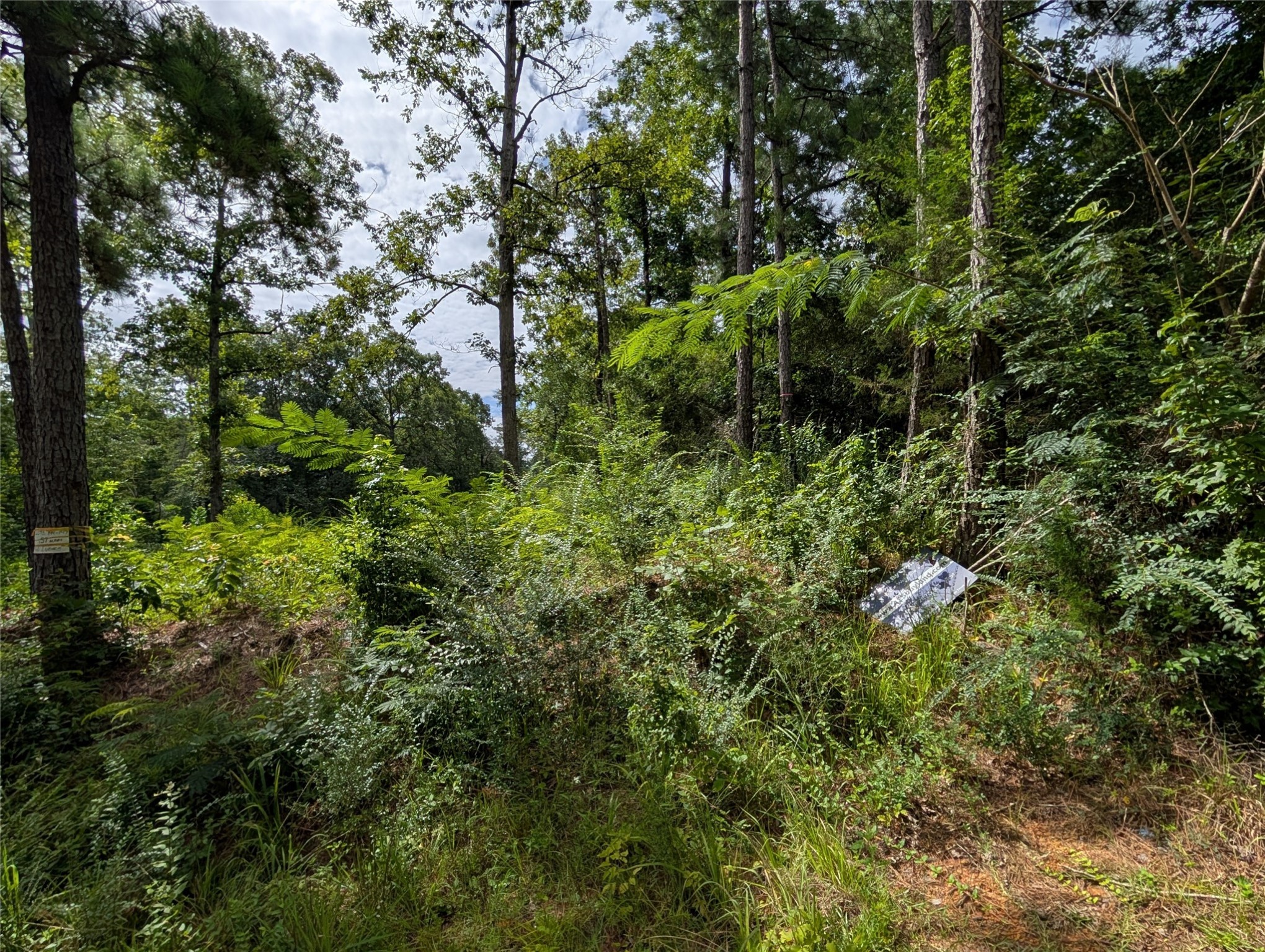 161 Ludies Drive Property Photo 4