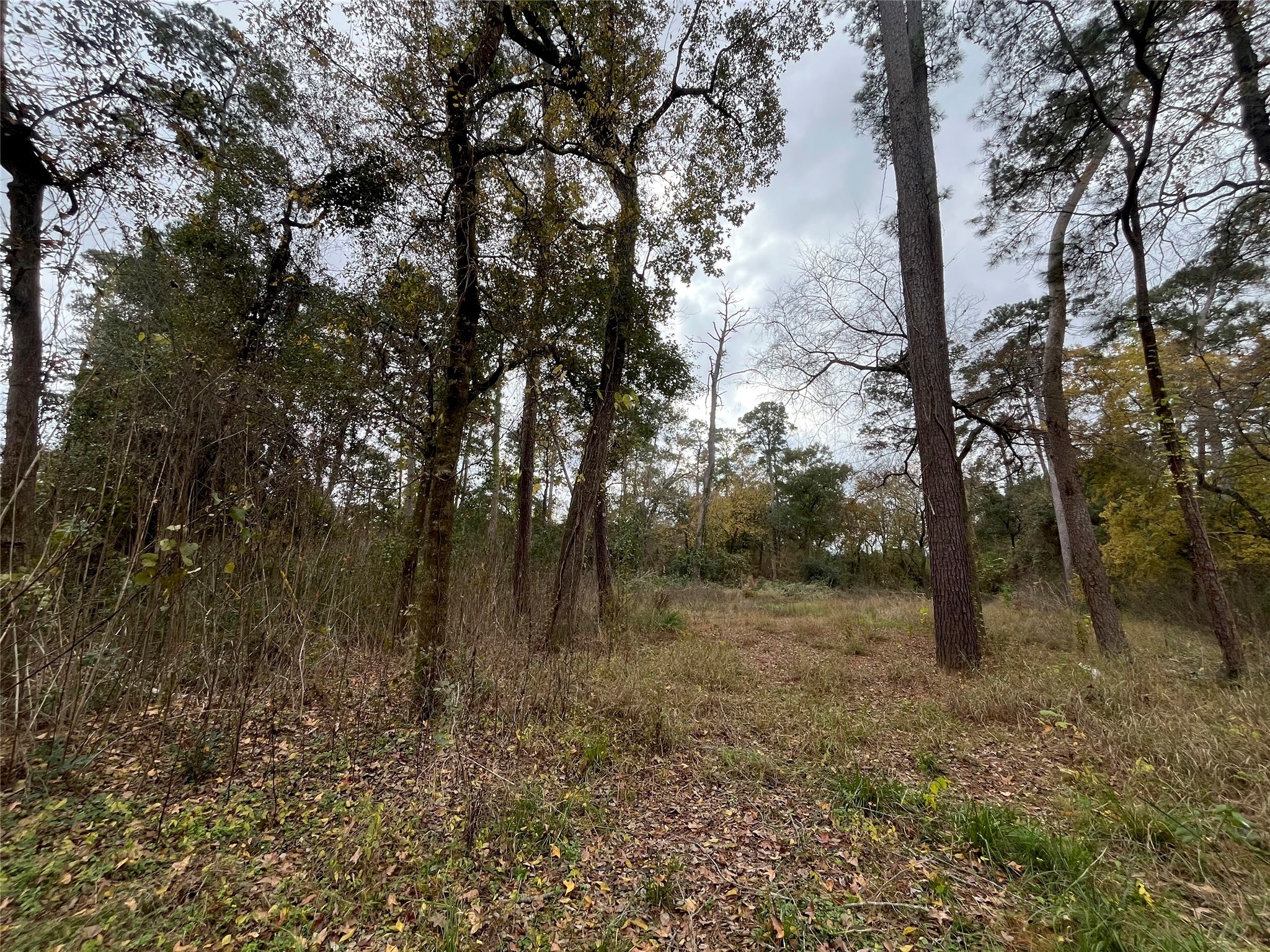 0 Tbd Cripple Creek Dr Property Photo 5