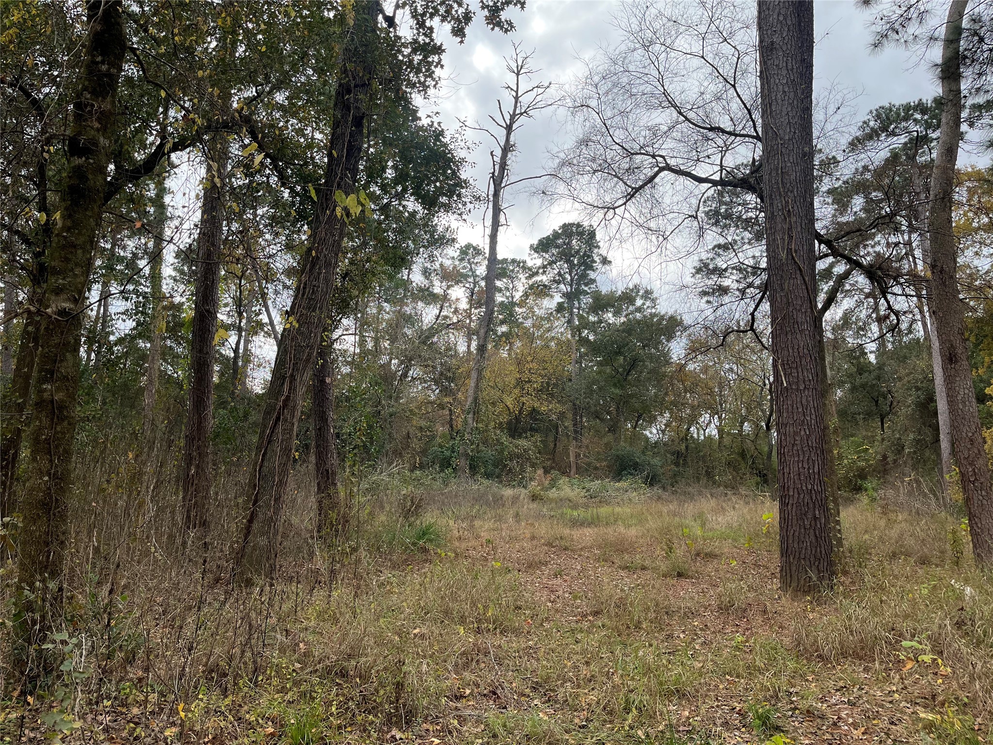 0 Tbd Cripple Creek Dr Property Photo 6