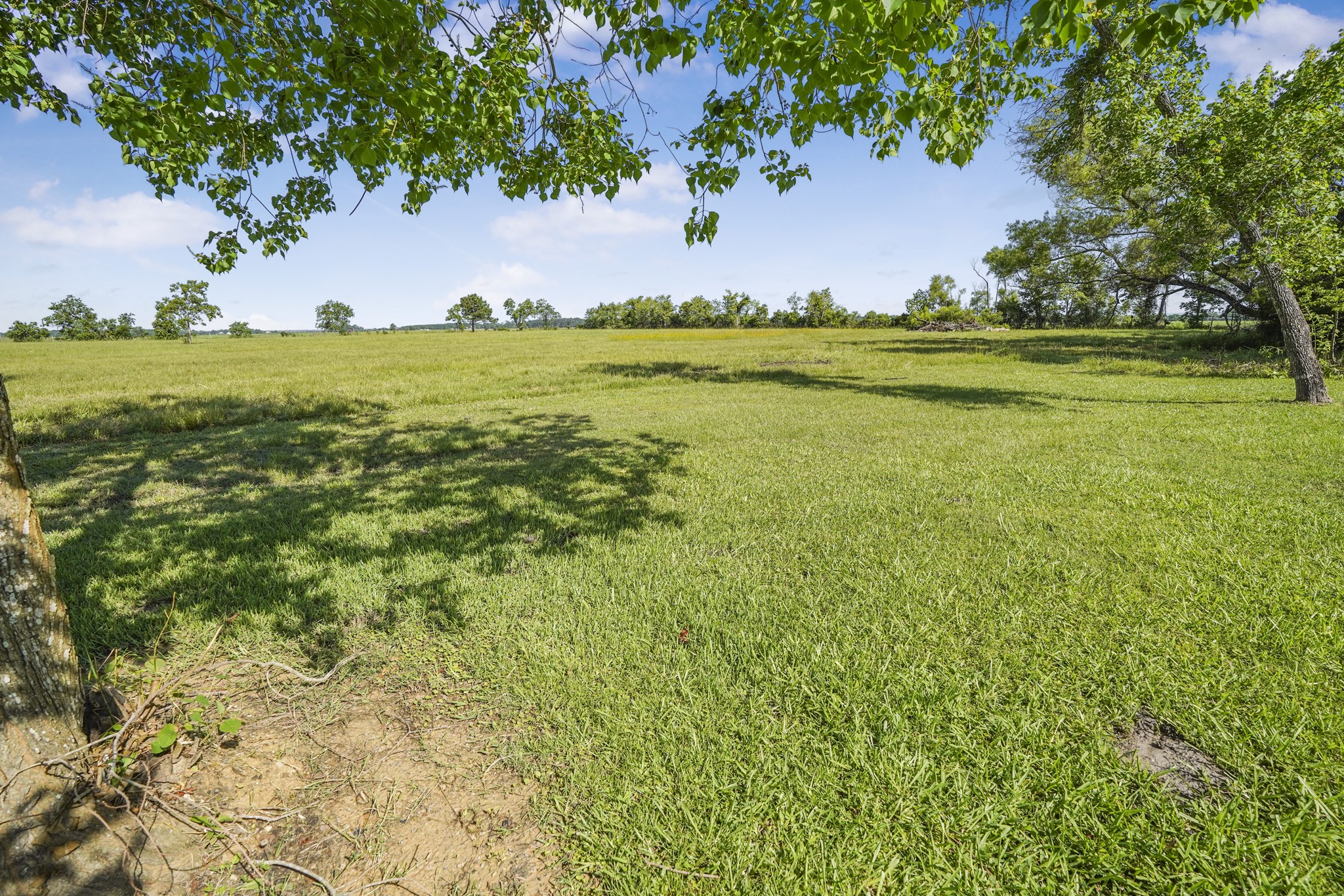 20547 Crosby Eastgate Road Property Photo 30