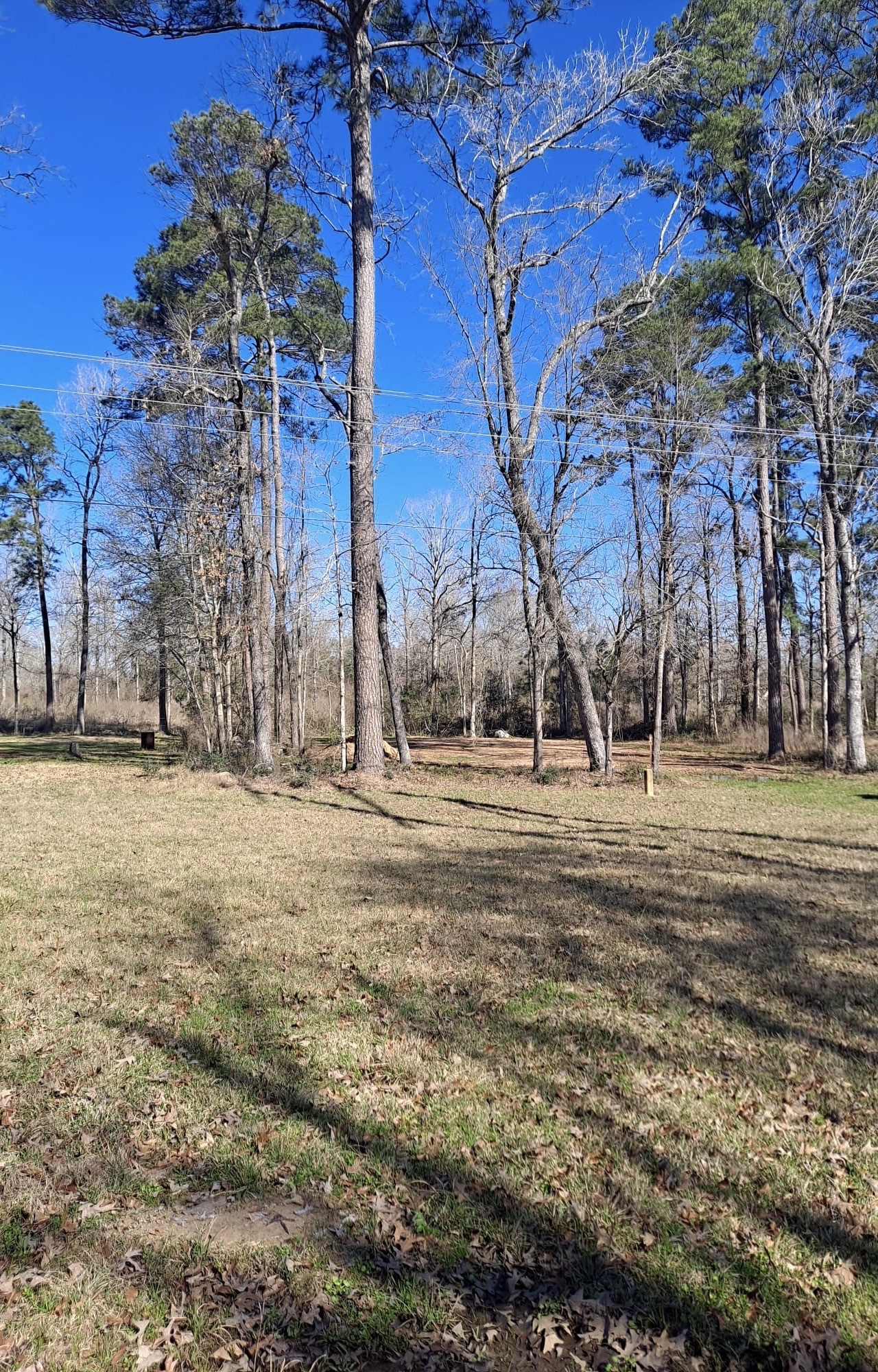 363 Edgewood Property Photo 2