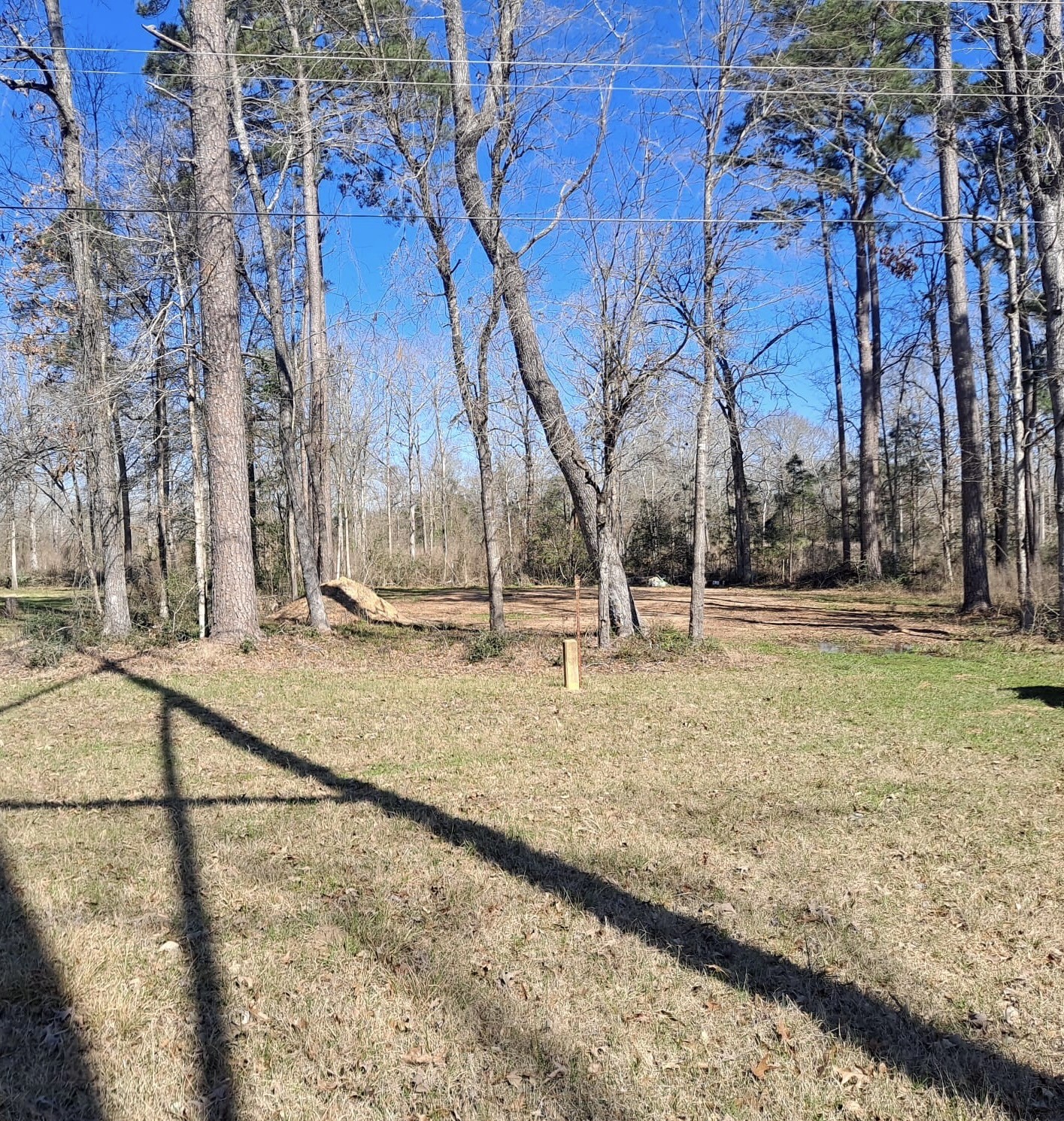 363 Edgewood Property Photo 3