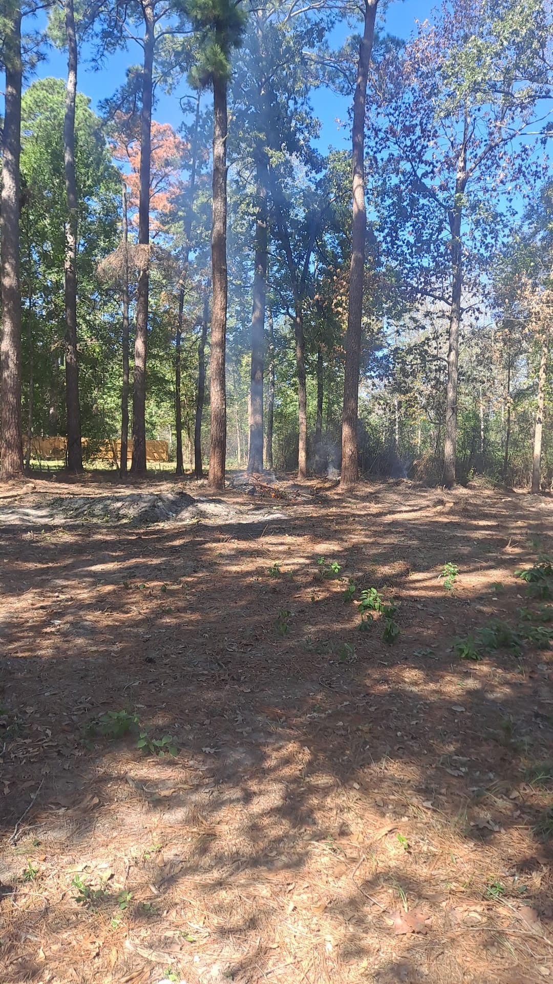 363 Edgewood Property Photo 4
