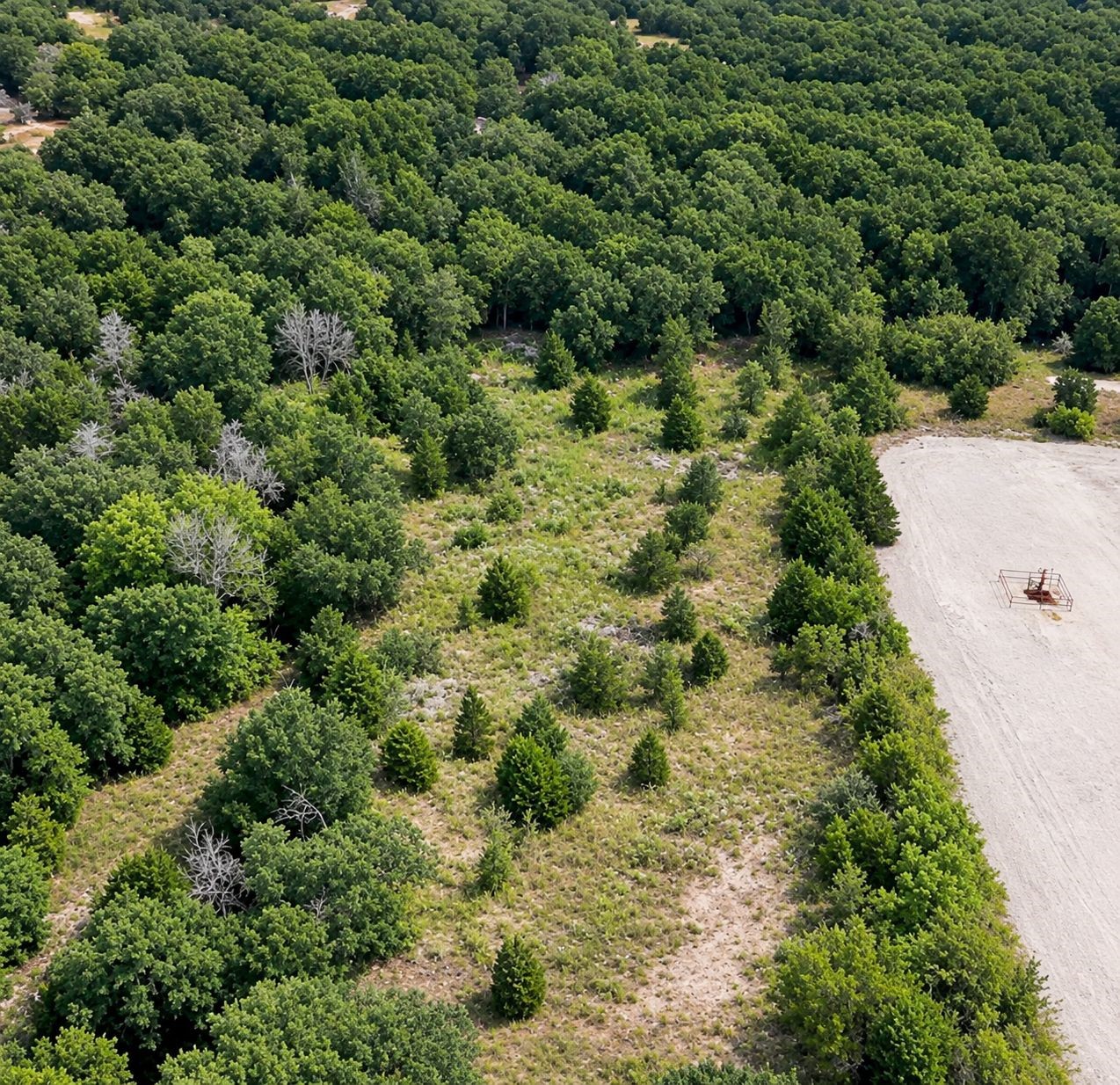 Tbd Fm 594 Property Photo 2