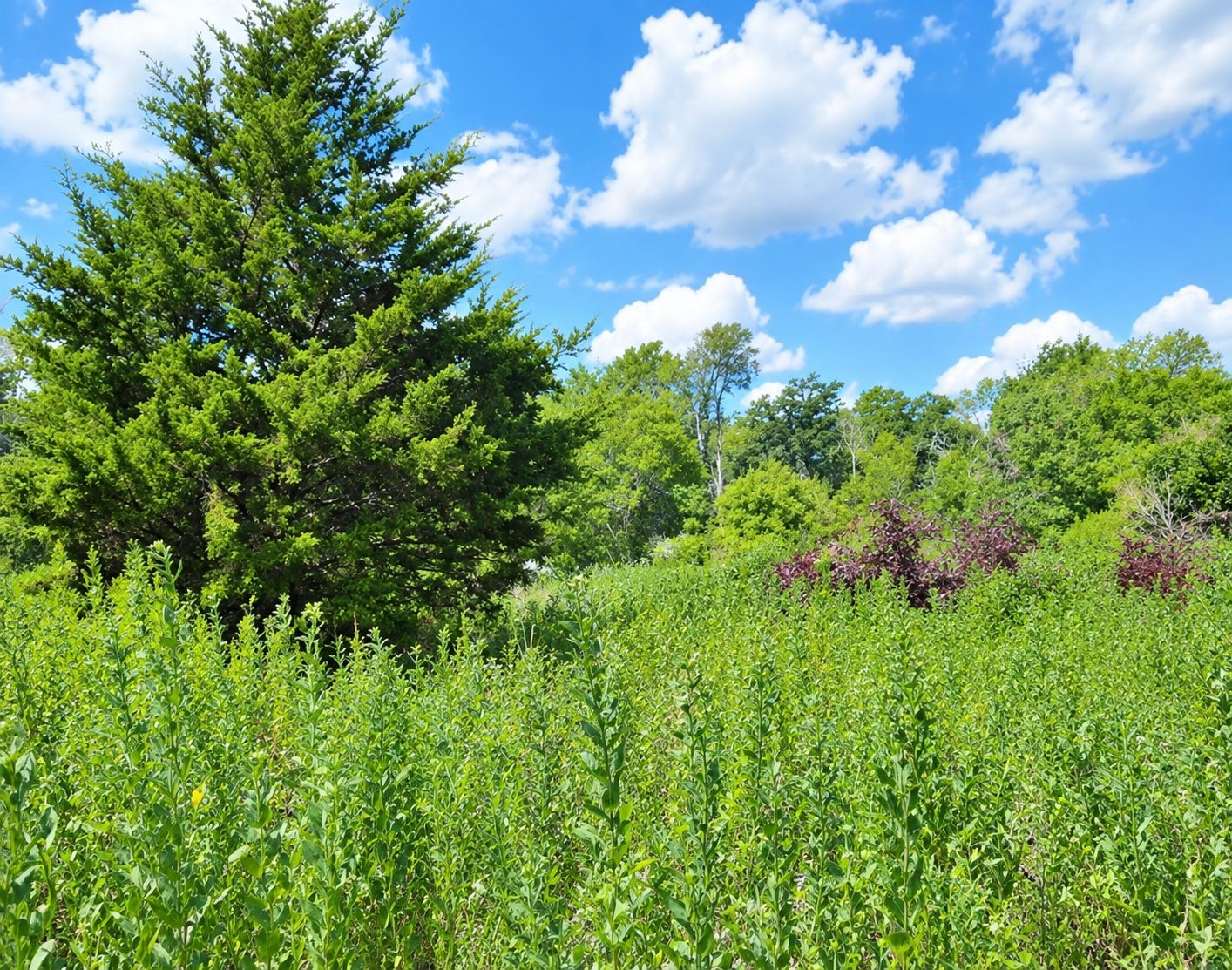 Tbd Fm 594 Property Photo 3