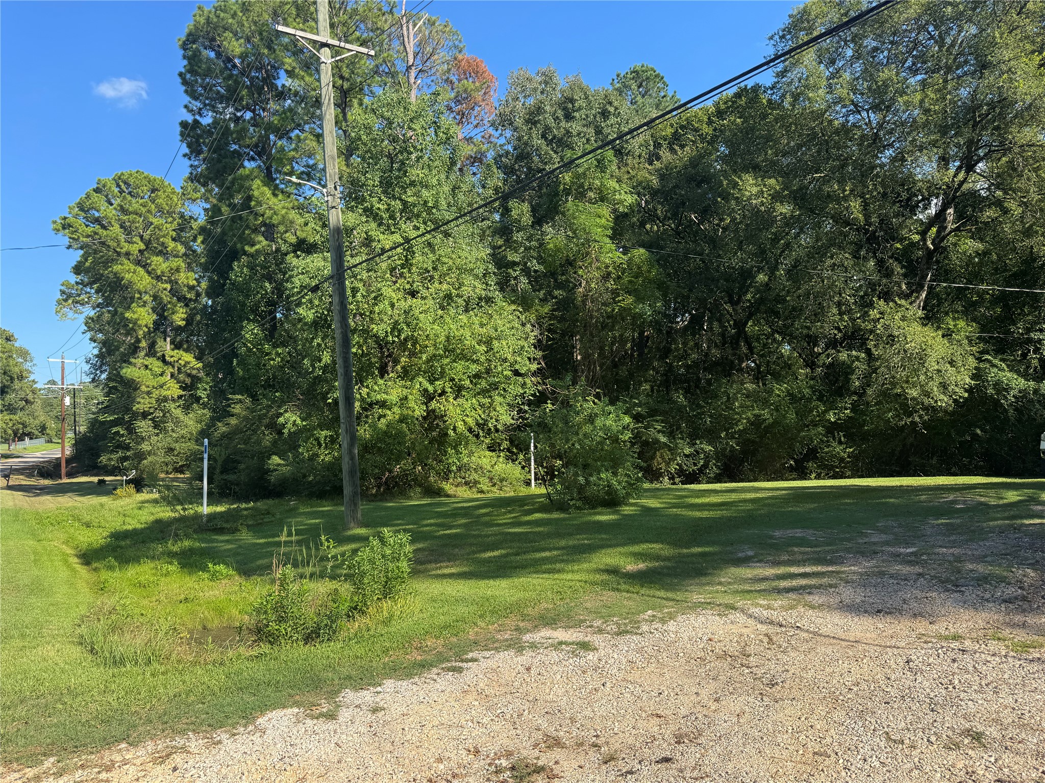 1310 Old Woodville Road Property Photo 3