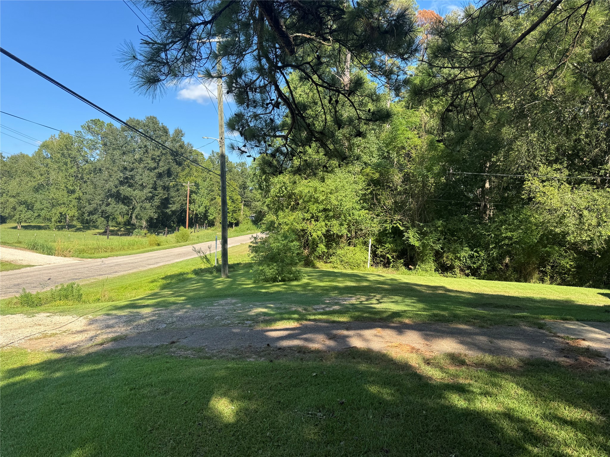 1310 Old Woodville Road Property Photo 4