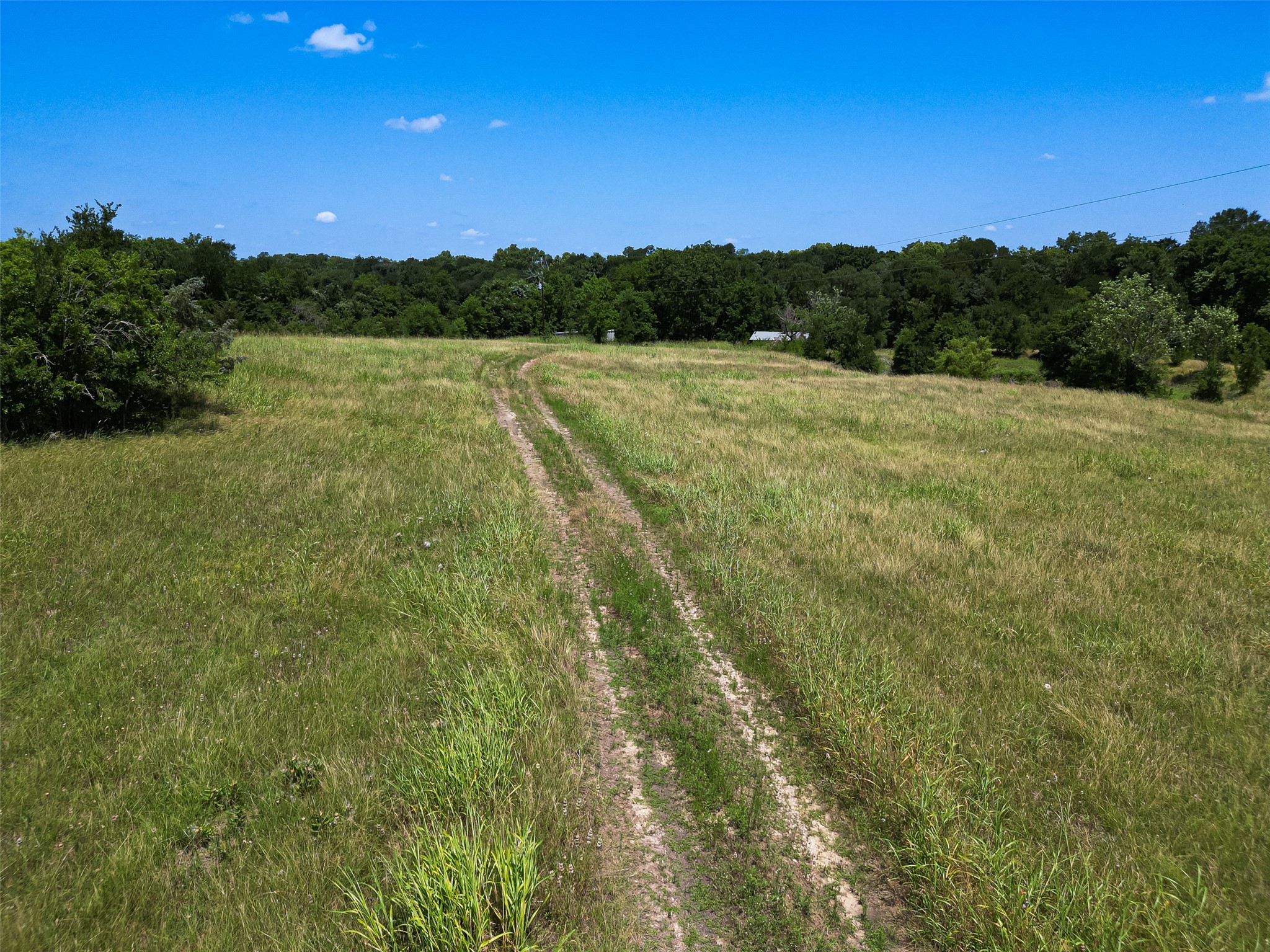 14655 Fm 1155 E Property Photo 7