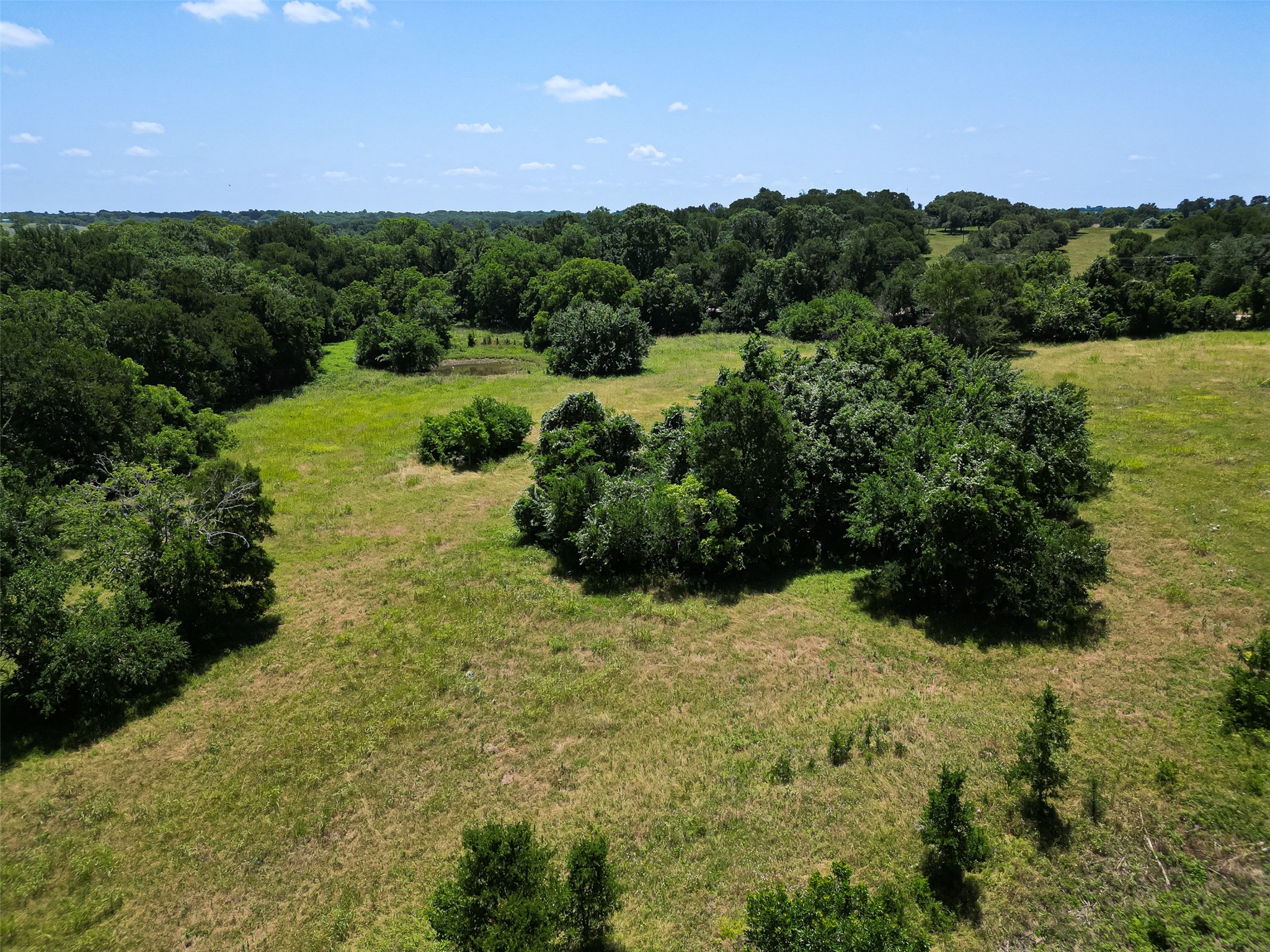 14655 Fm 1155 E Property Photo 8