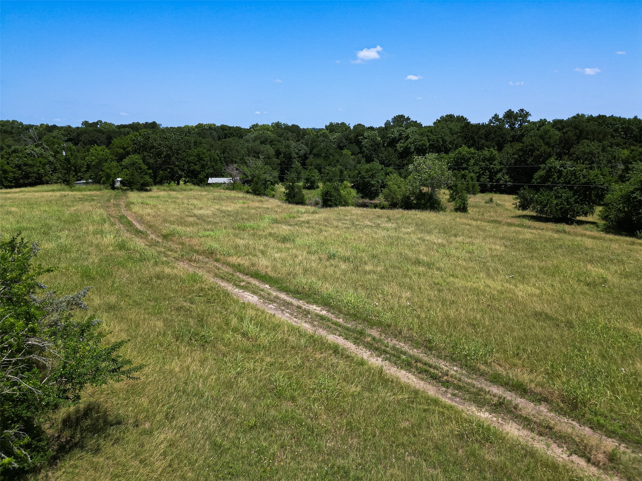 14655 Fm 1155 E Property Photo 12
