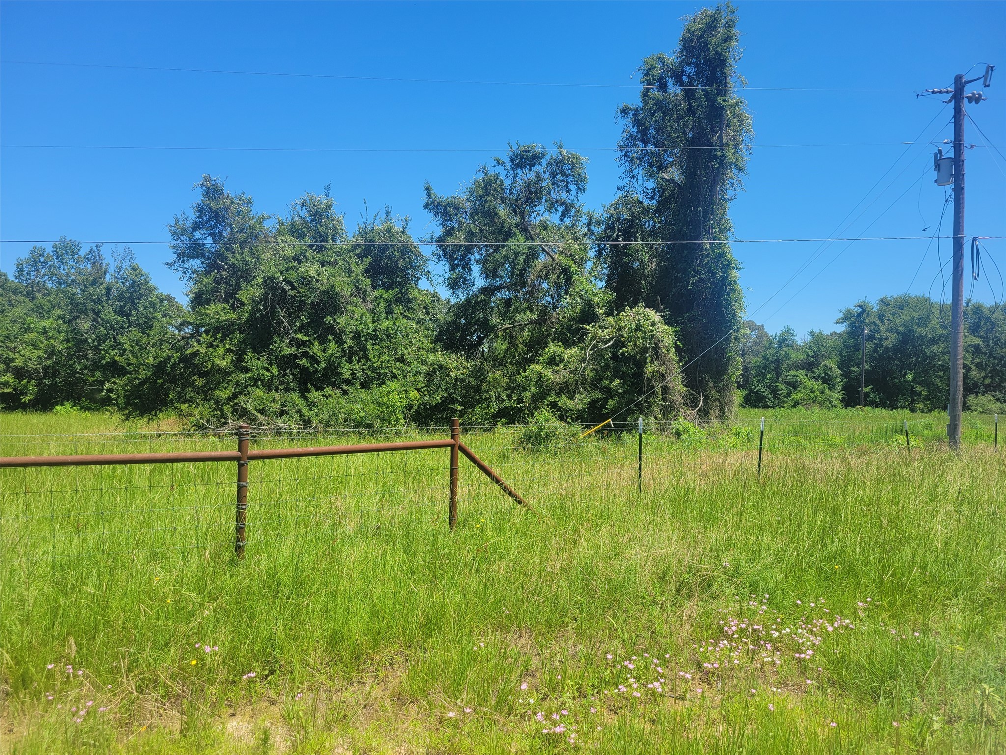 1 Cr 236 Property Photo 3