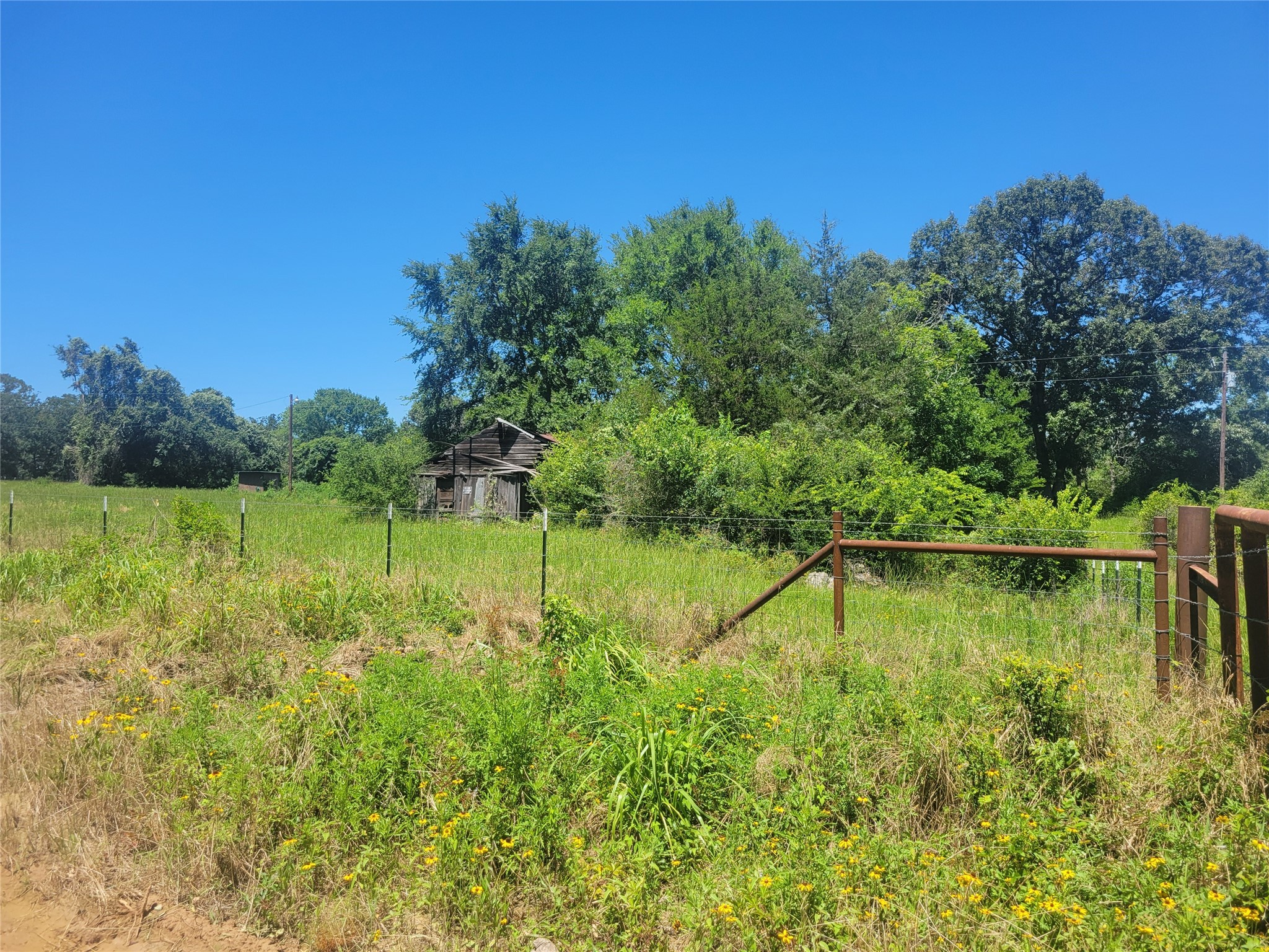 1 Cr 236 Property Photo 6