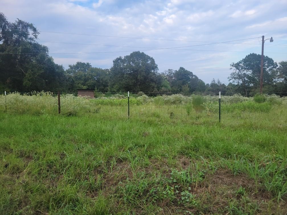 1 Cr 236 Property Photo 10