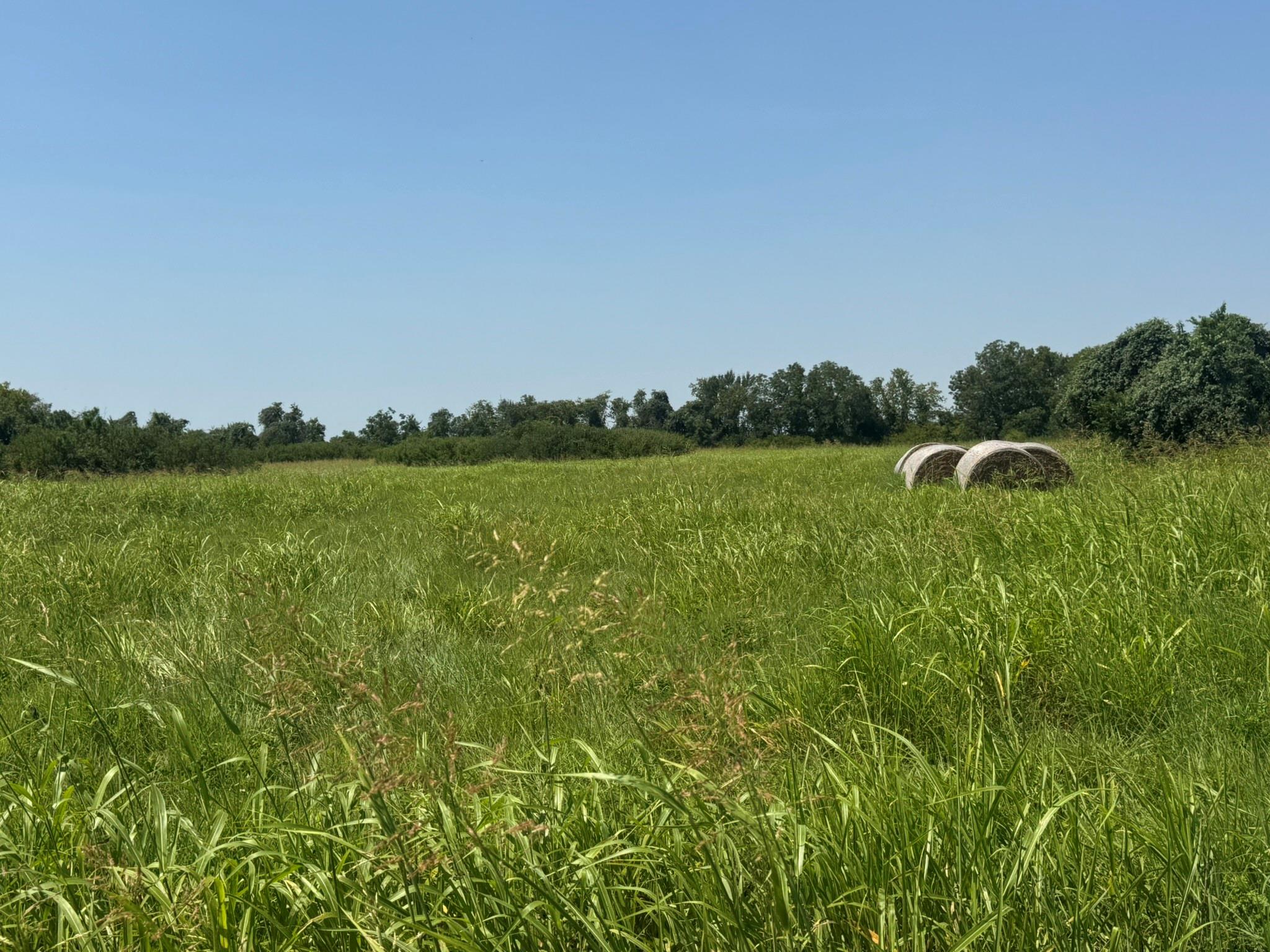 Tbd County Road 230, Glen Flora Tx 77443 Property Photo 1