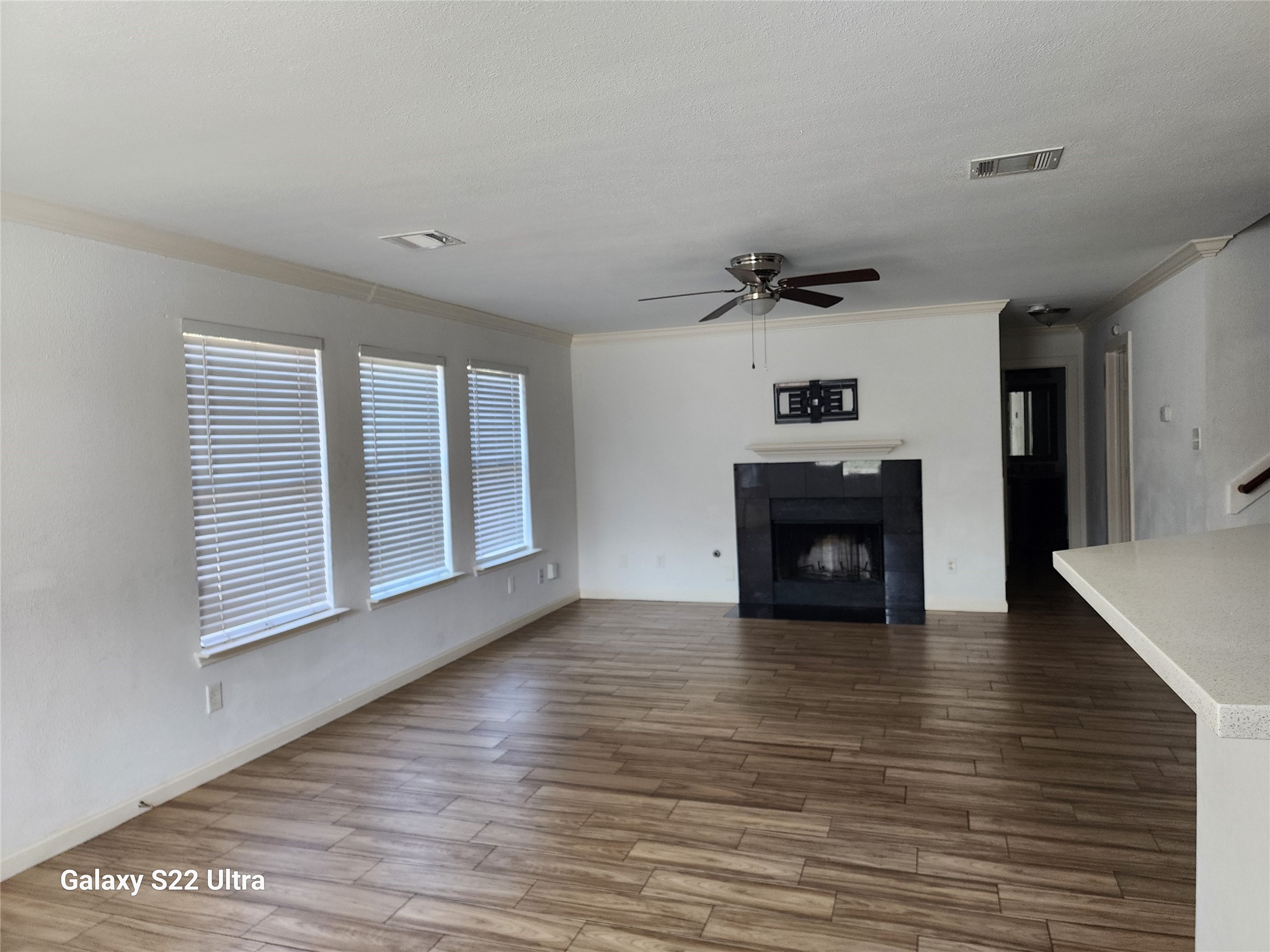 6038 Stirring Winds Lane Property Photo 7
