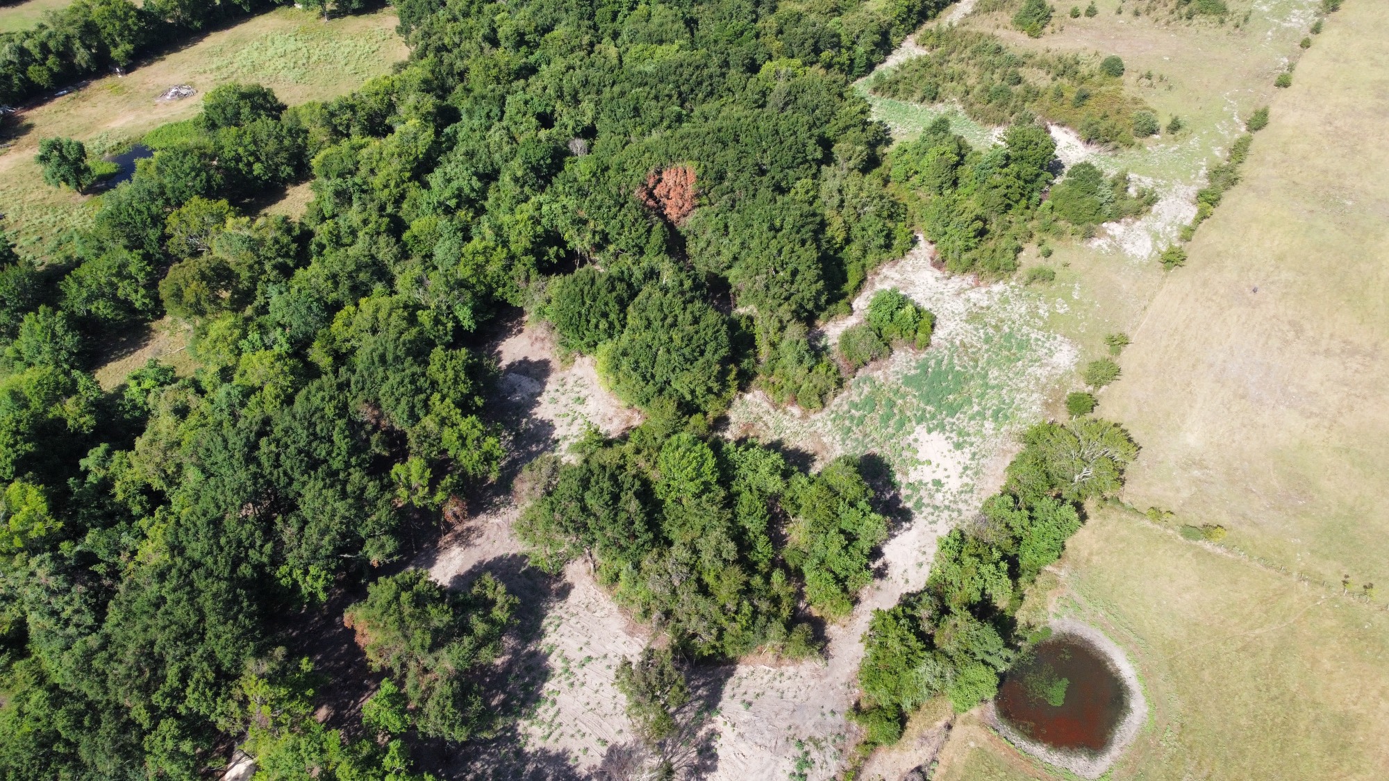 15 Ac Greenbriar Road Property Photo 7