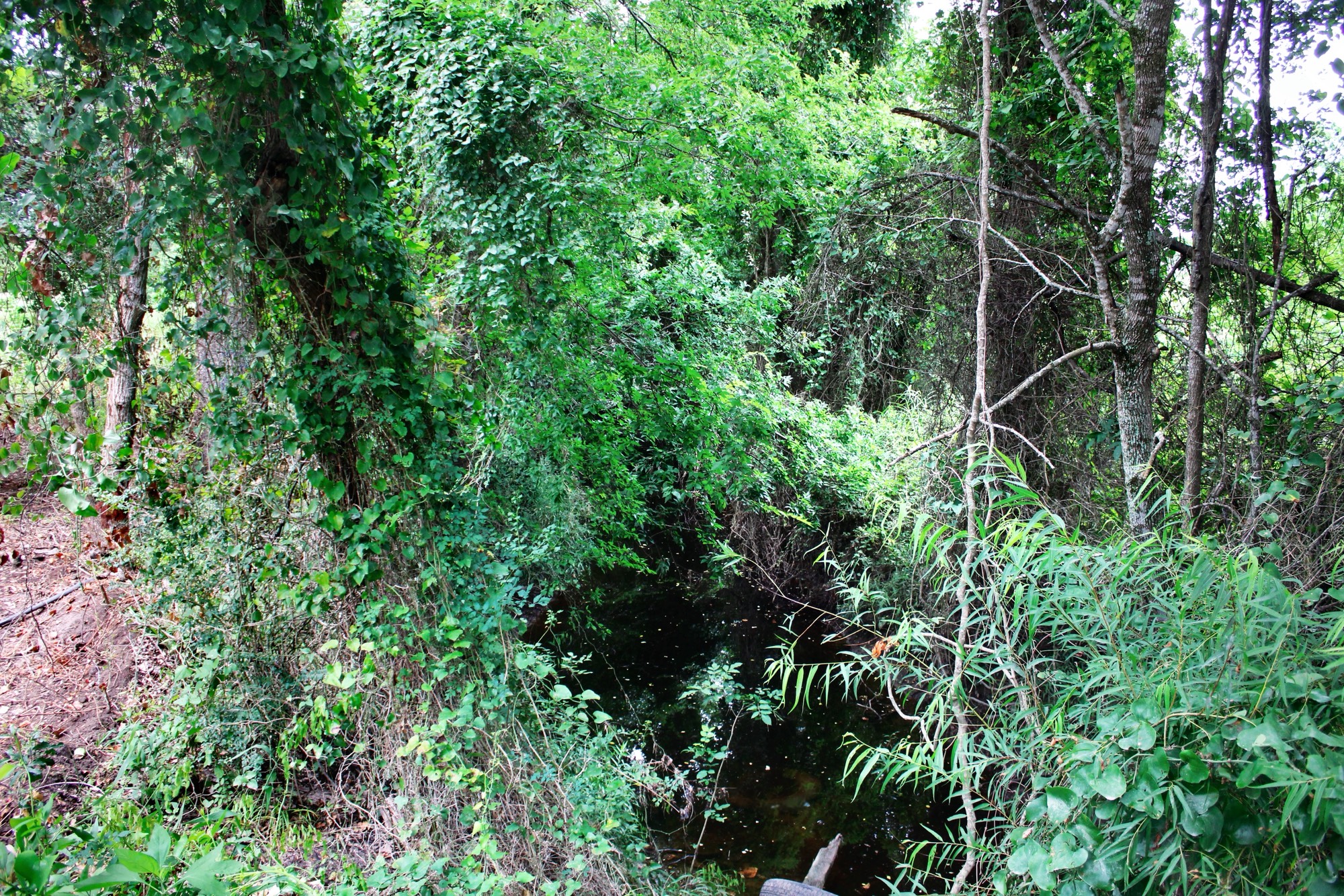 15 Ac Greenbriar Road Property Photo 12