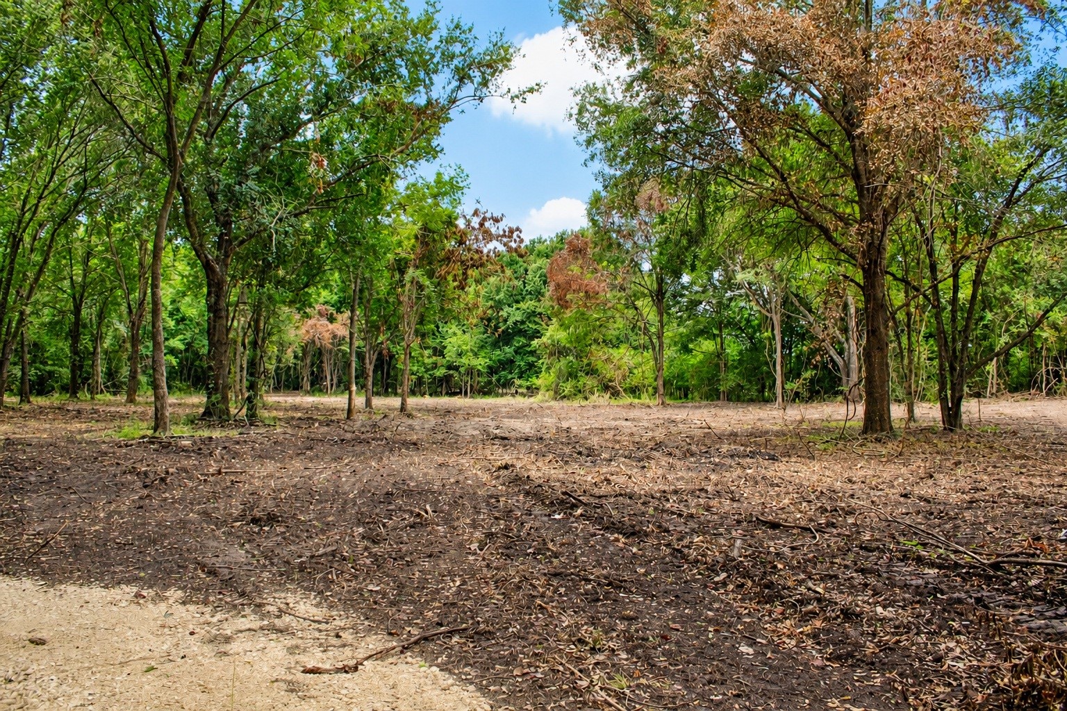 15 Ac Greenbriar Road Property Photo 17