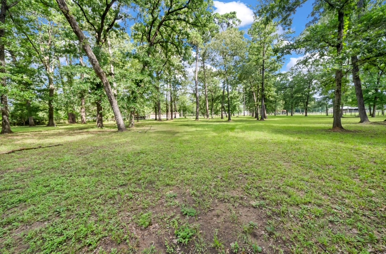 4165 Fm 2693 Road W Property Photo 10