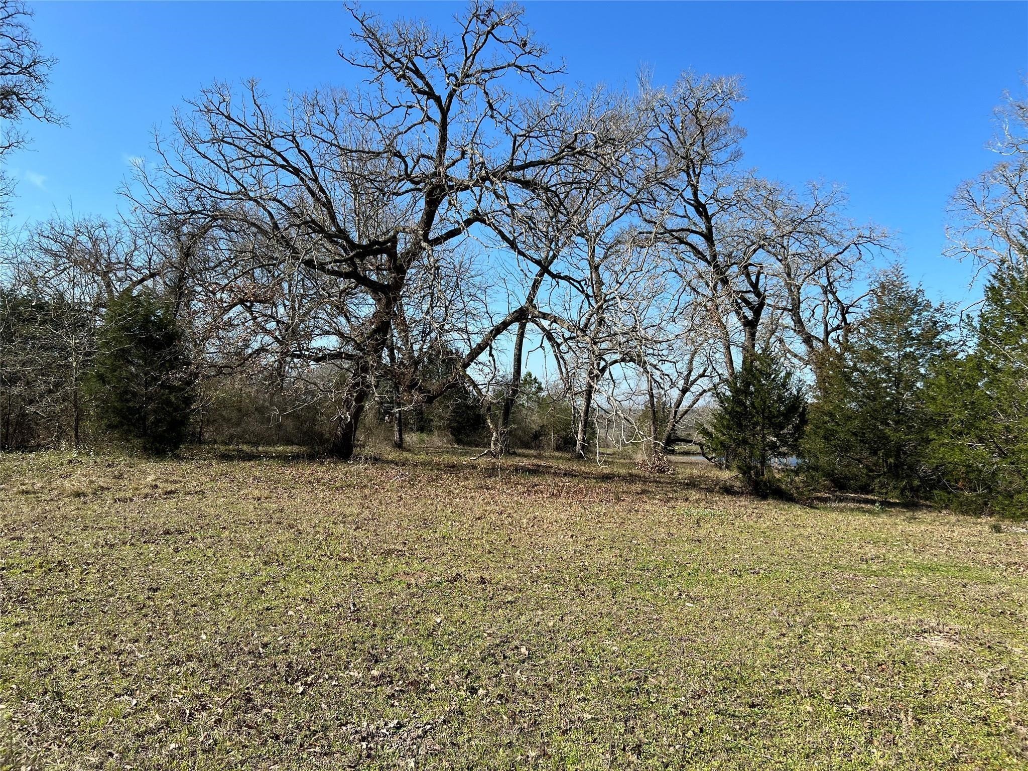 19285 Moriarty Road Property Photo 4