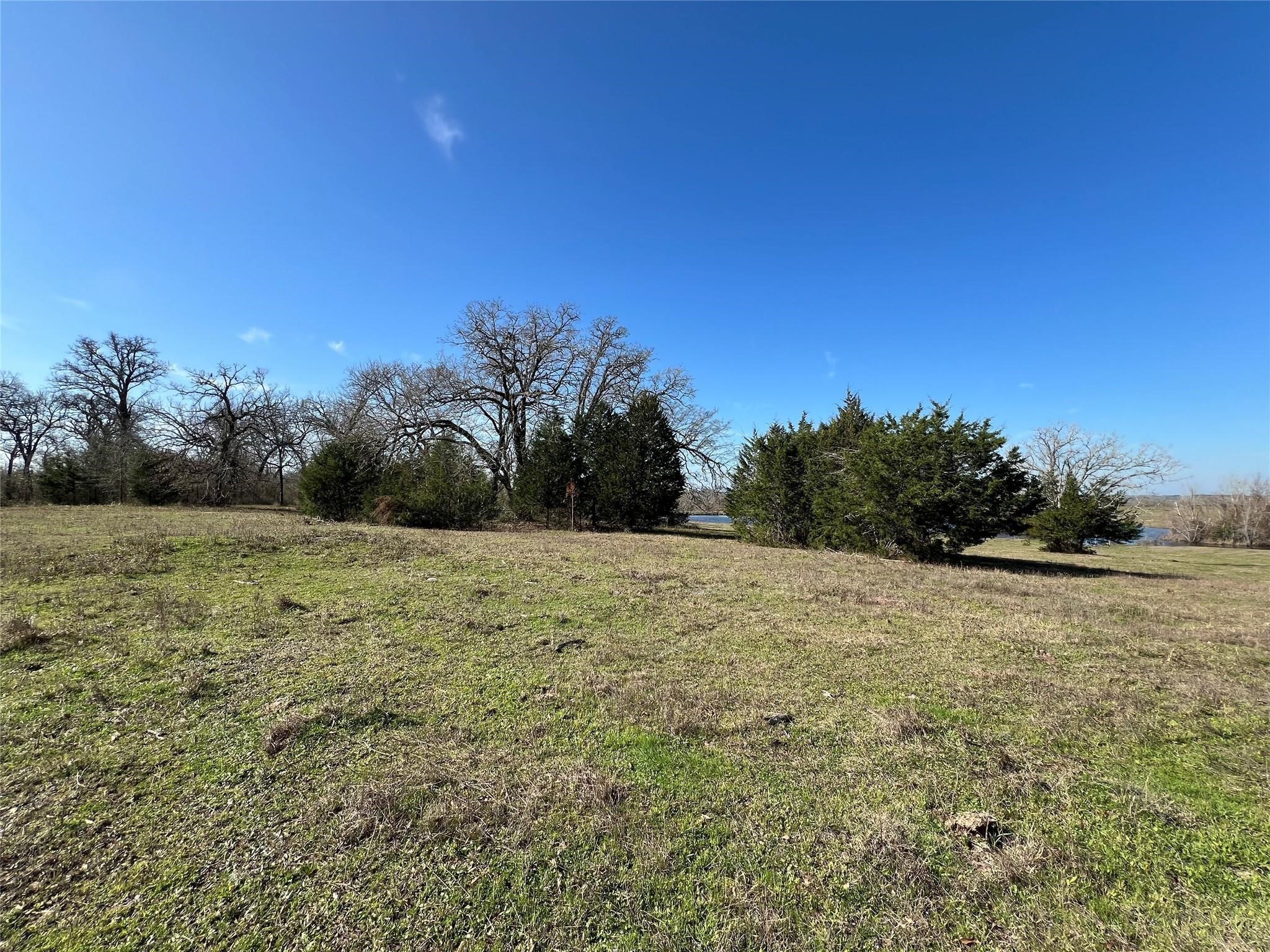 19285 Moriarty Road Property Photo 8