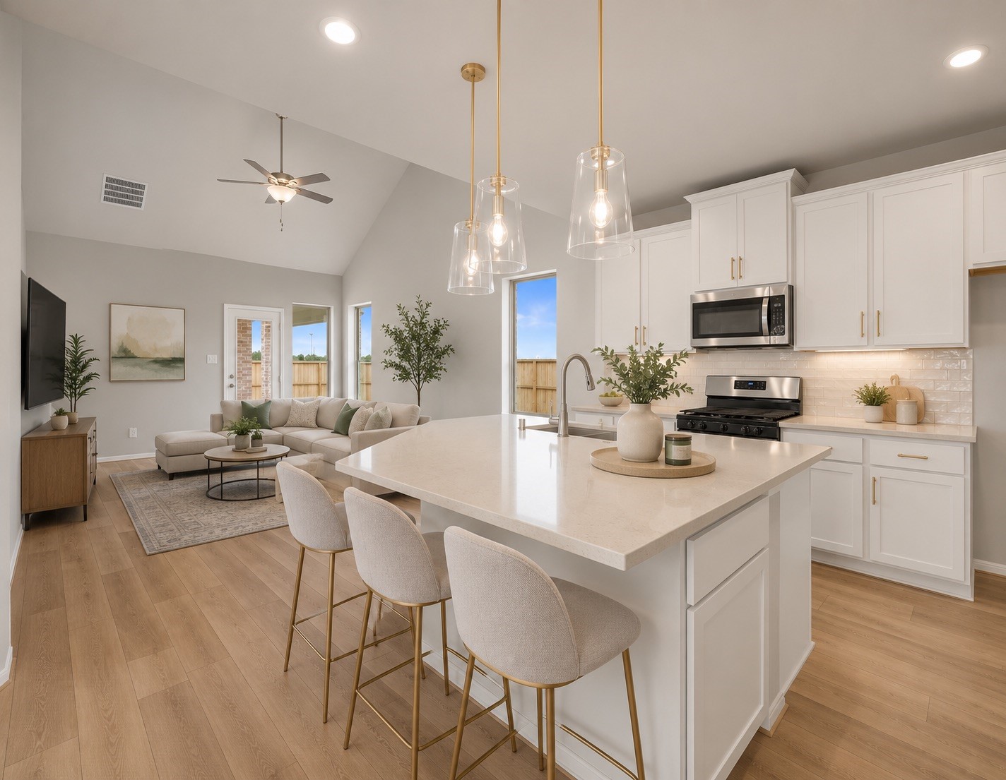 17063 Shimmer Ray Street Property Photo 2