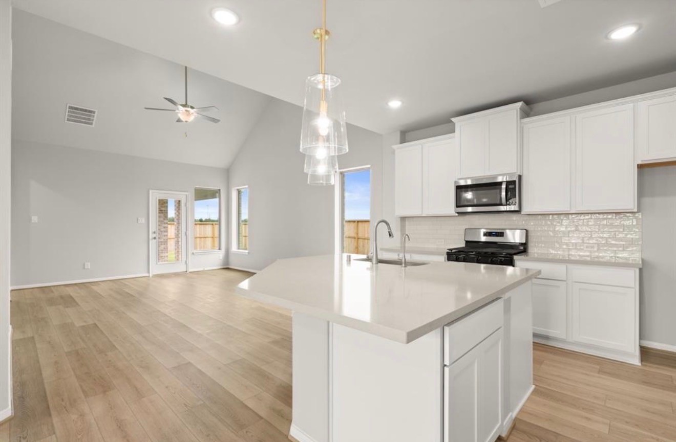 17063 Shimmer Ray Street Property Photo 5