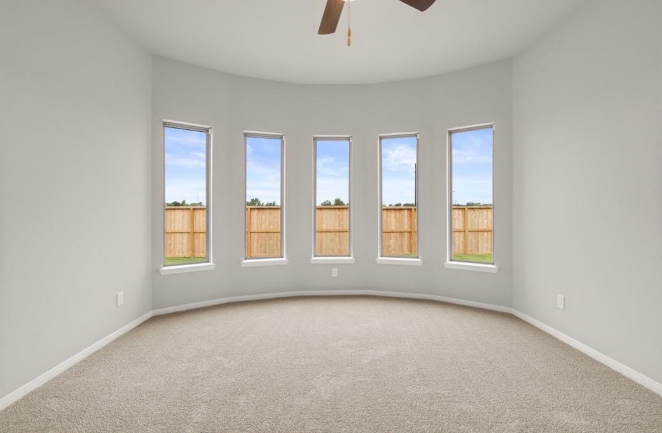 17063 Shimmer Ray Street Property Photo 15