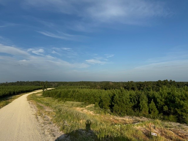 Tbd Blackjack Rd, Tract 47 Property Photo 1