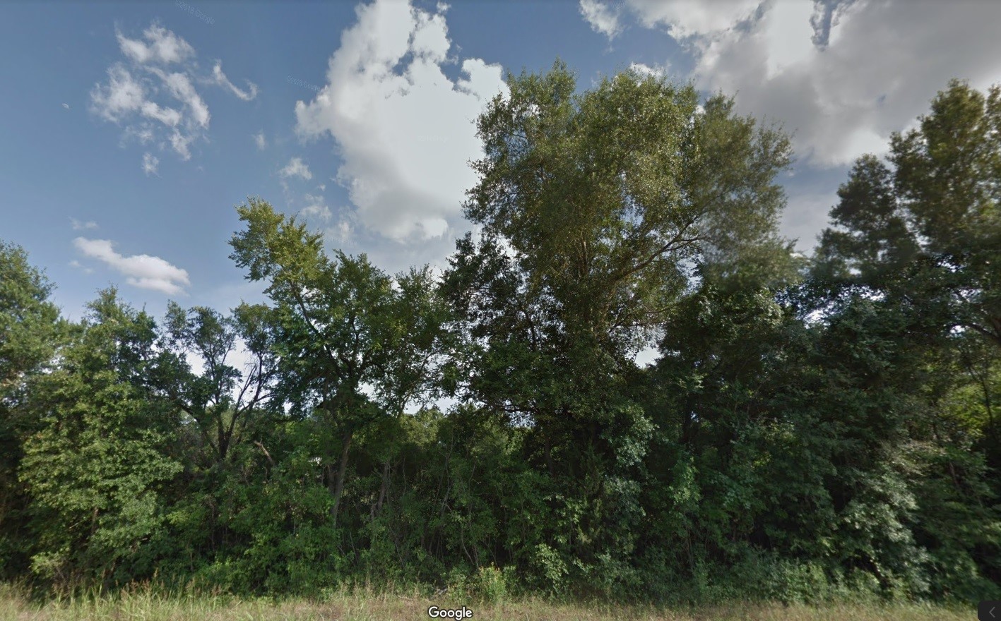 00 County Road 426 Property Photo 2