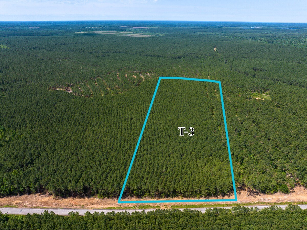 3 Camp Ruby Road Property Photo 3