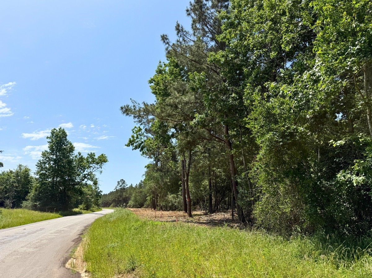 3 Camp Ruby Road Property Photo 4