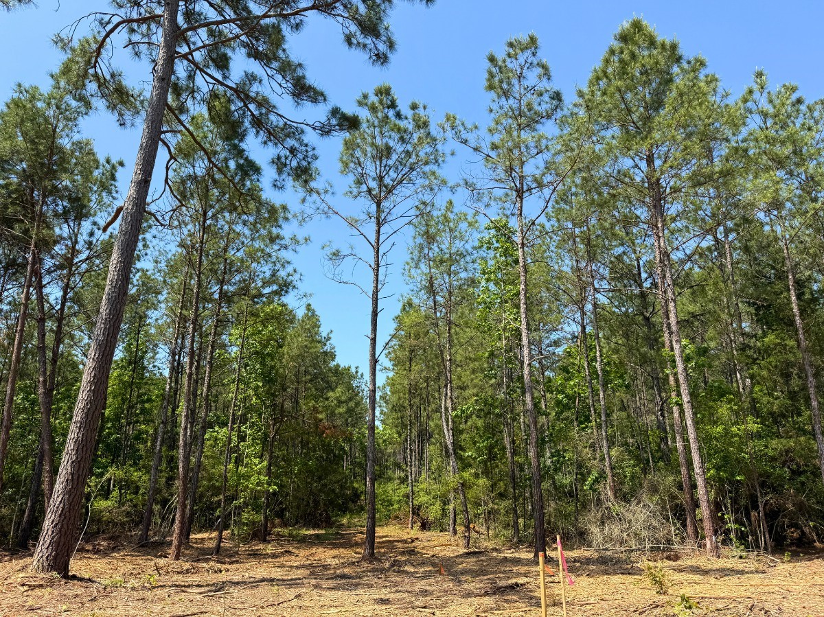 3 Camp Ruby Road Property Photo 10