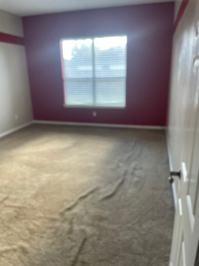 2219 Beacon Light Lane Property Photo 10
