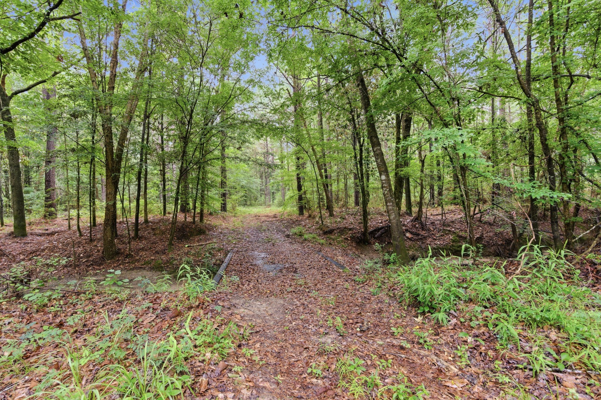 870 Cr 4259 Property Photo 38