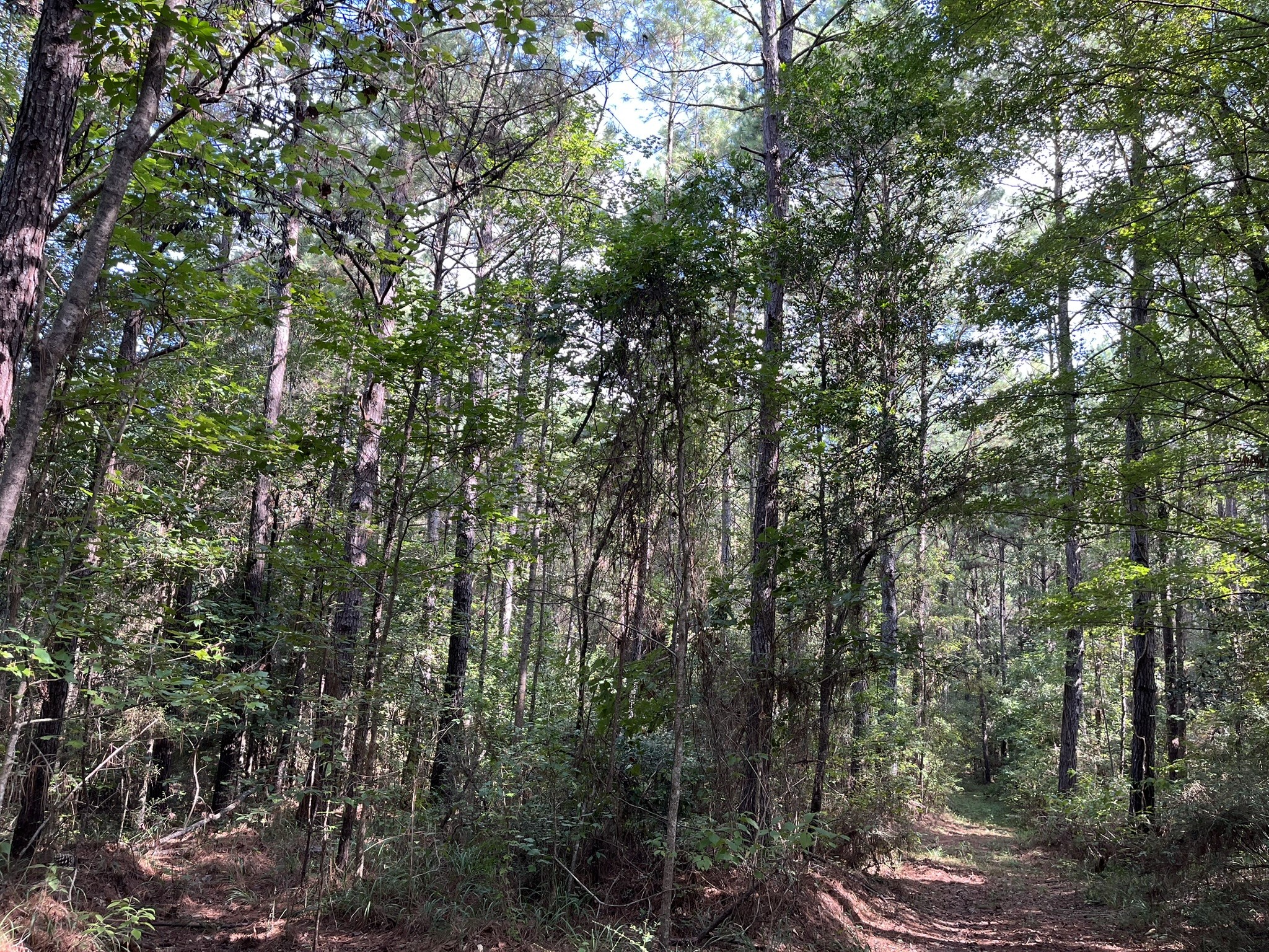 870 Cr 4259 Property Photo 44