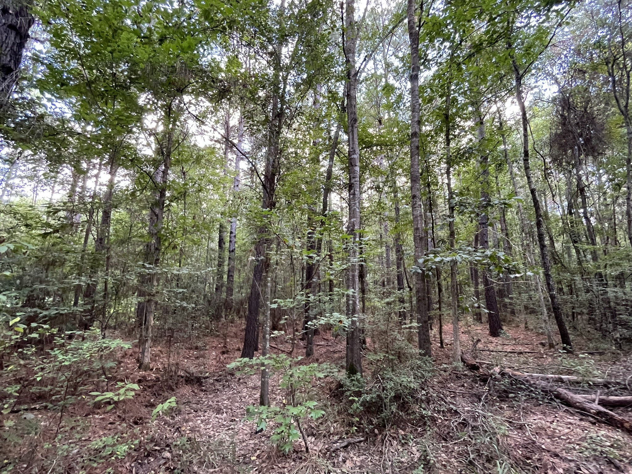 870 Cr 4259 Property Photo 45