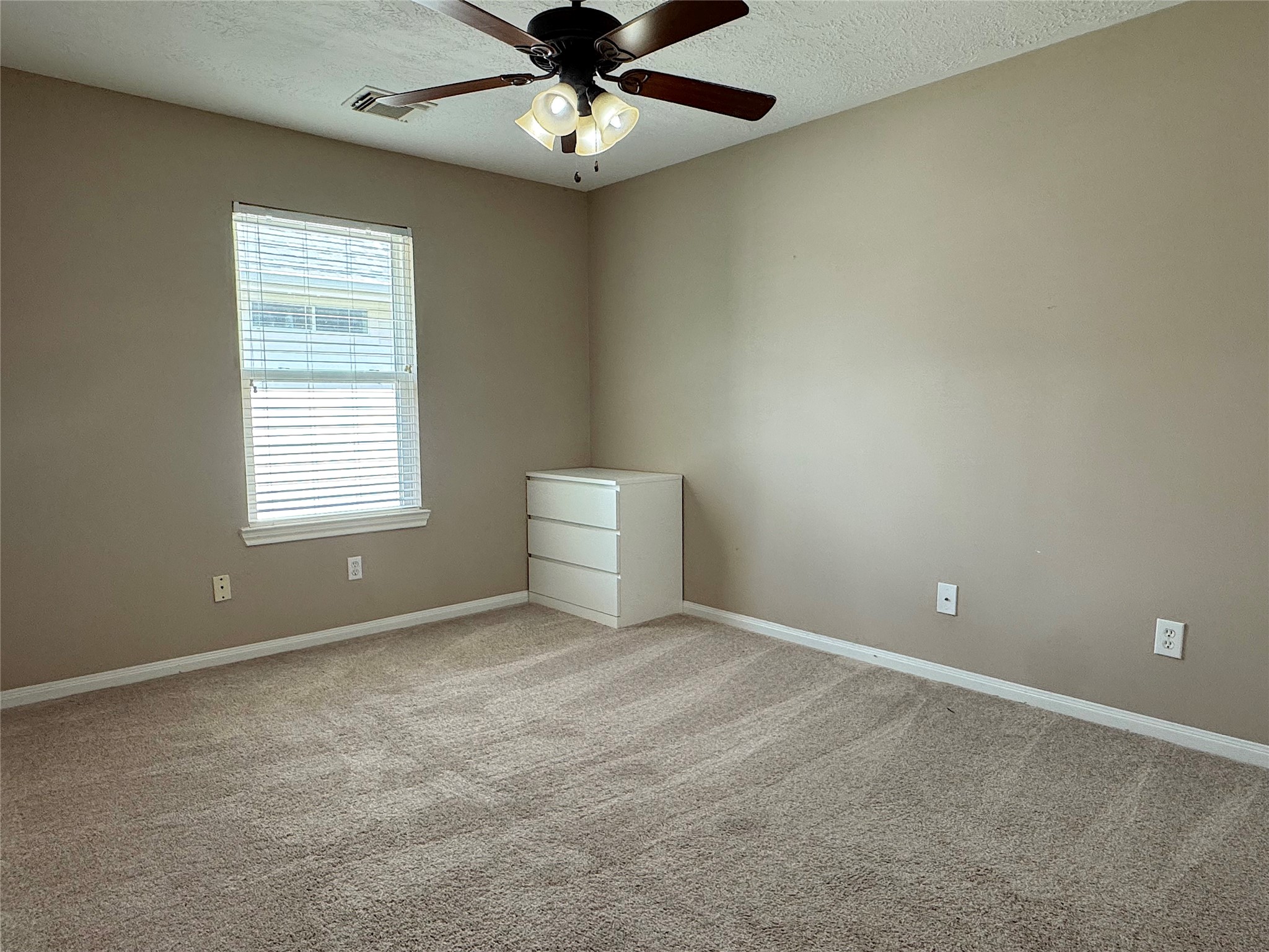 20422 Silver Oak Trail Property Photo 17