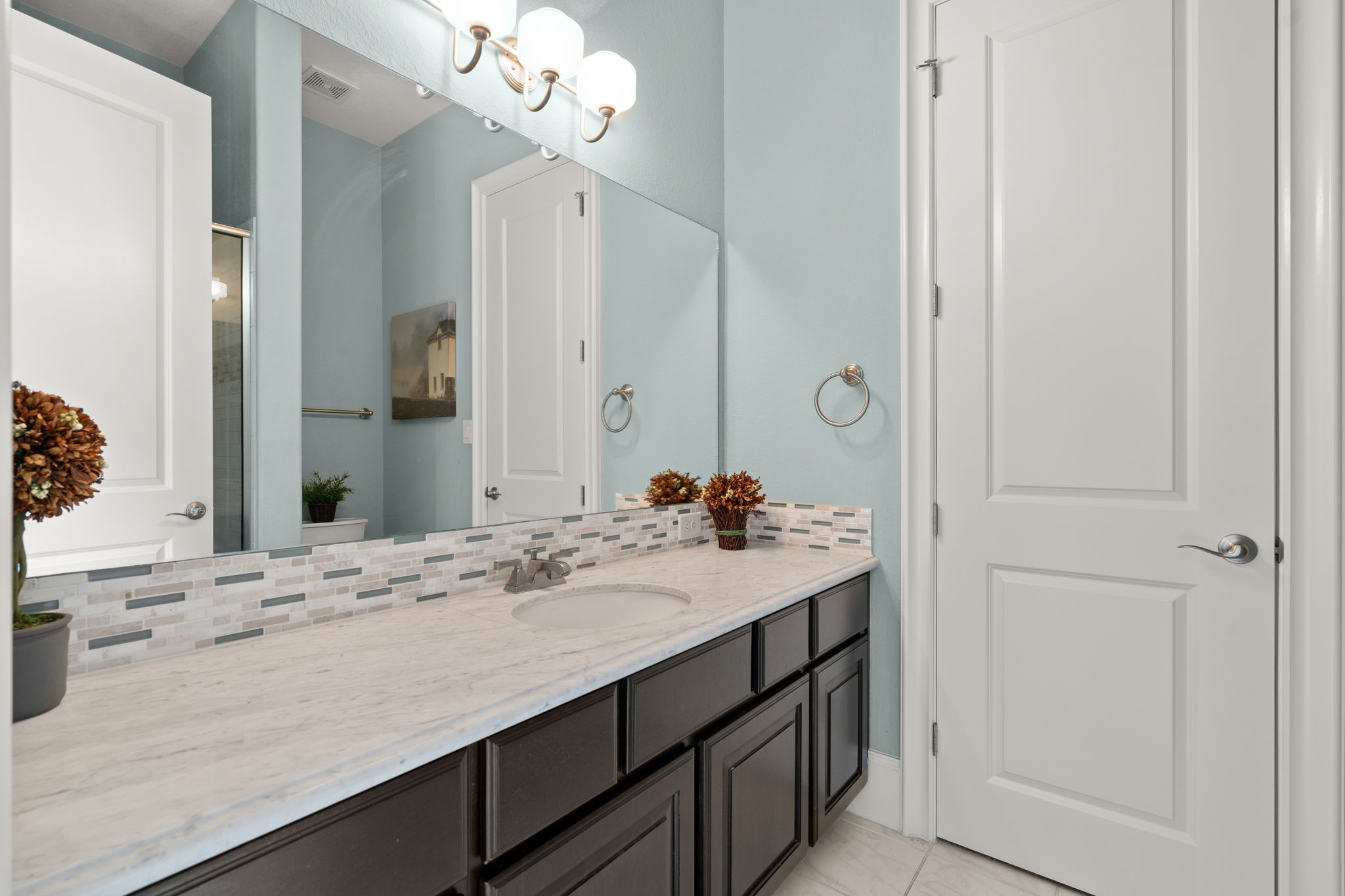 5023 Vista Blue Lane Property Photo 27