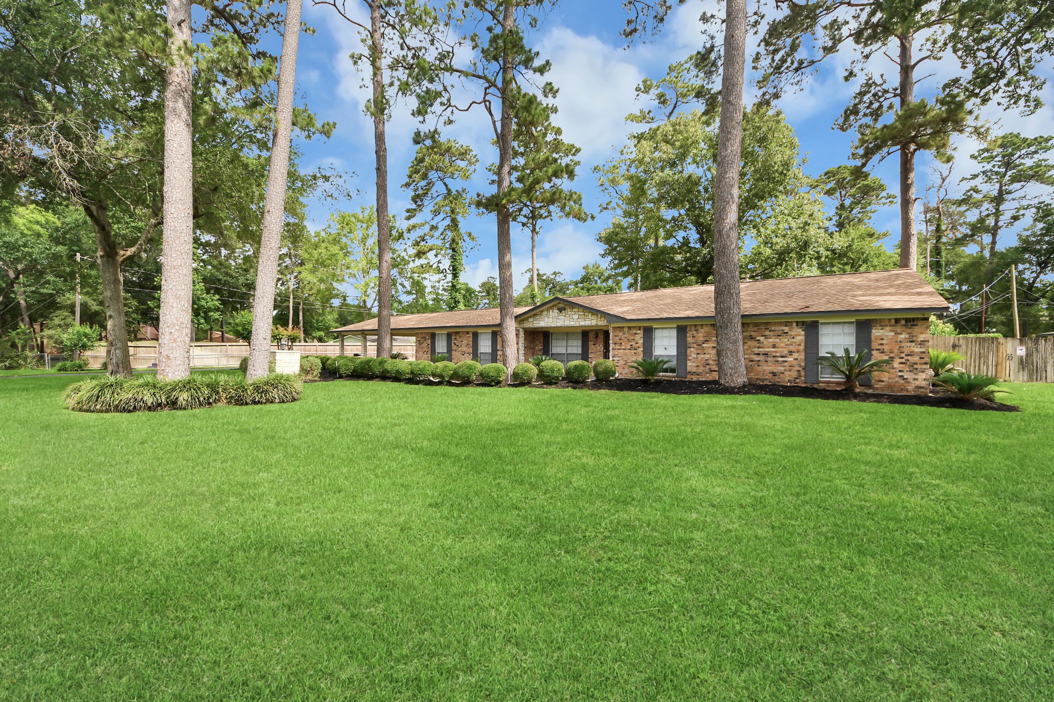 12210 Lieder Drive Property Photo 6